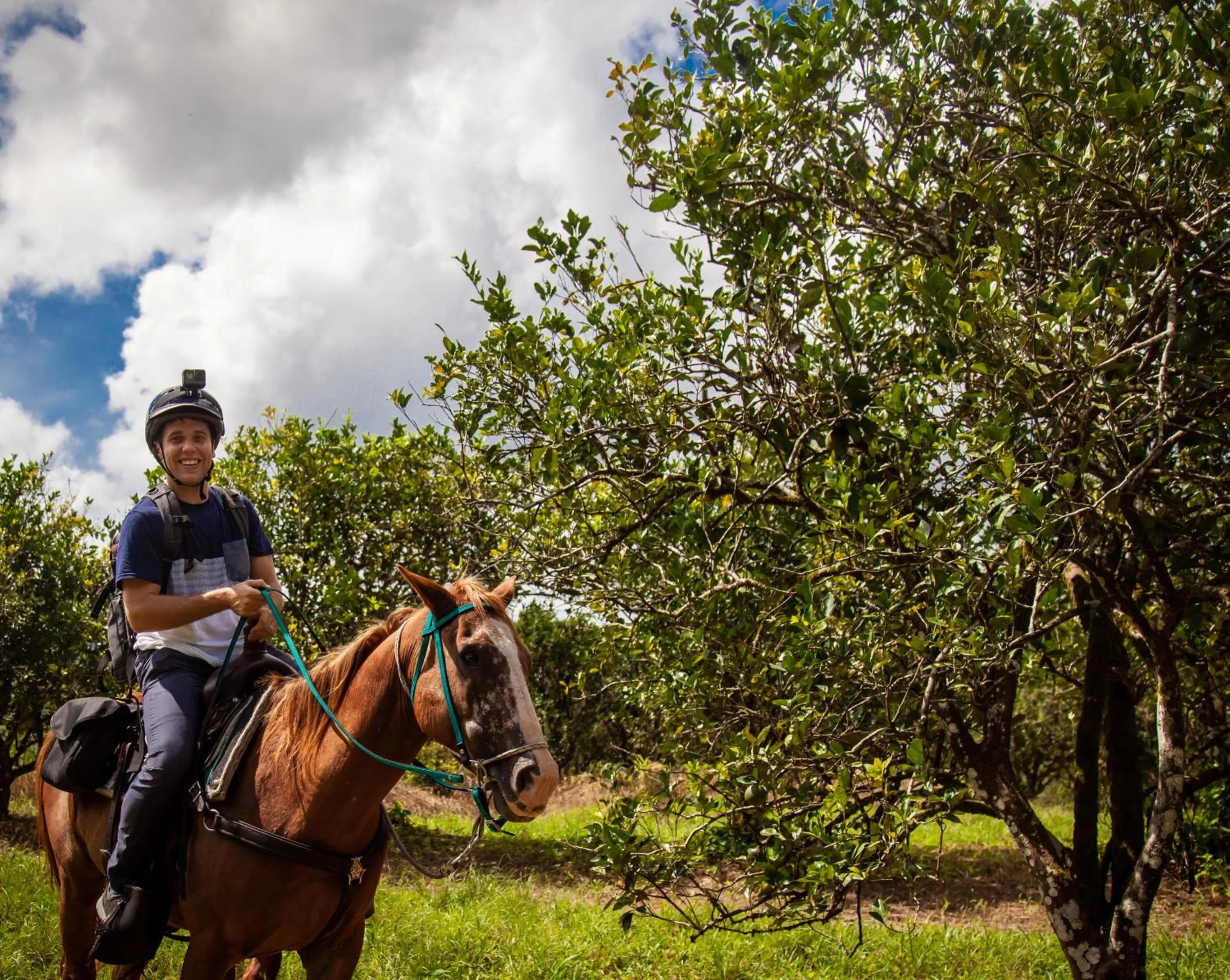 Horse-riding in Sleeping Giant Rainforest Lodge