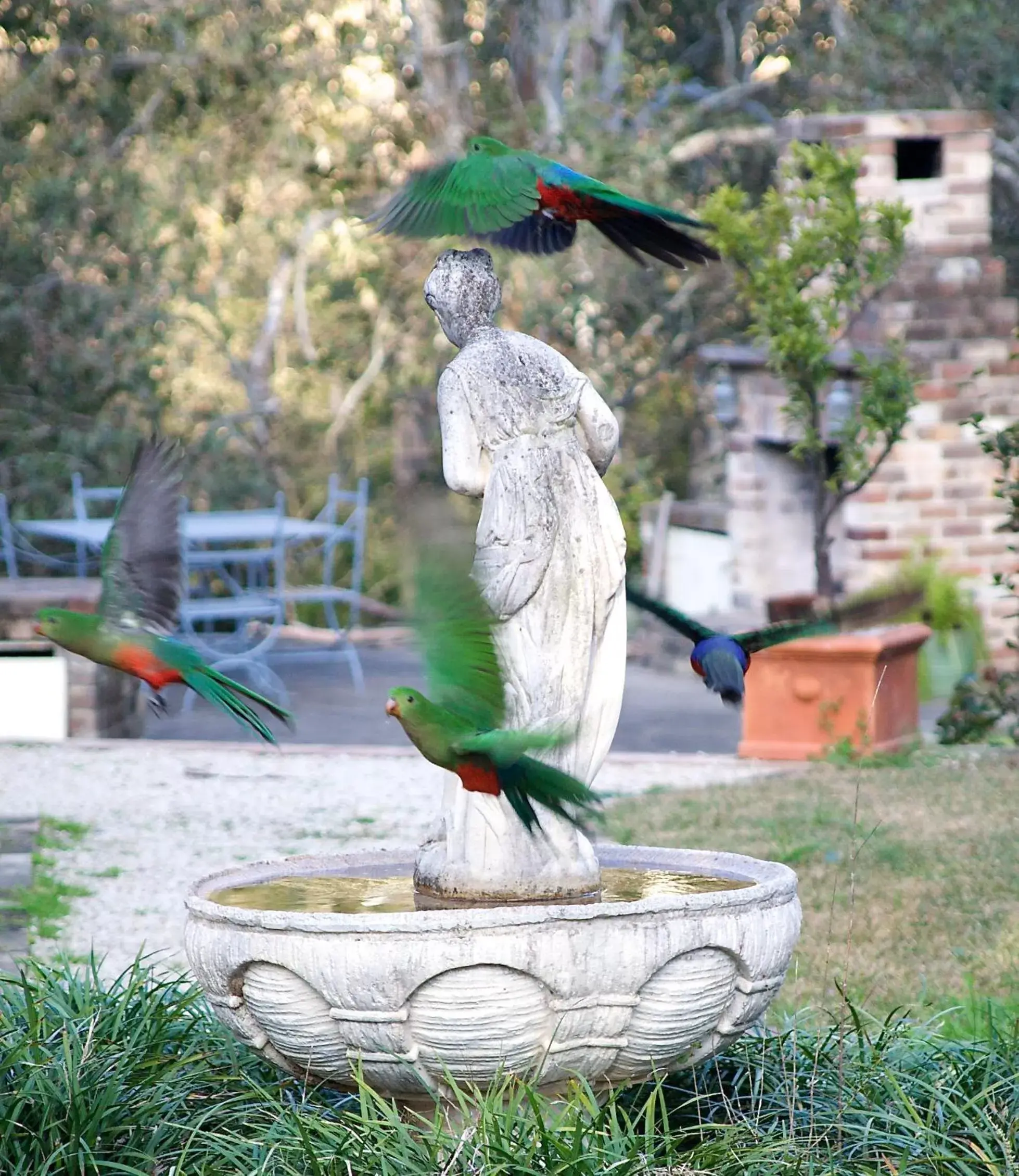 Other Animals in The Willows at Kurrajong