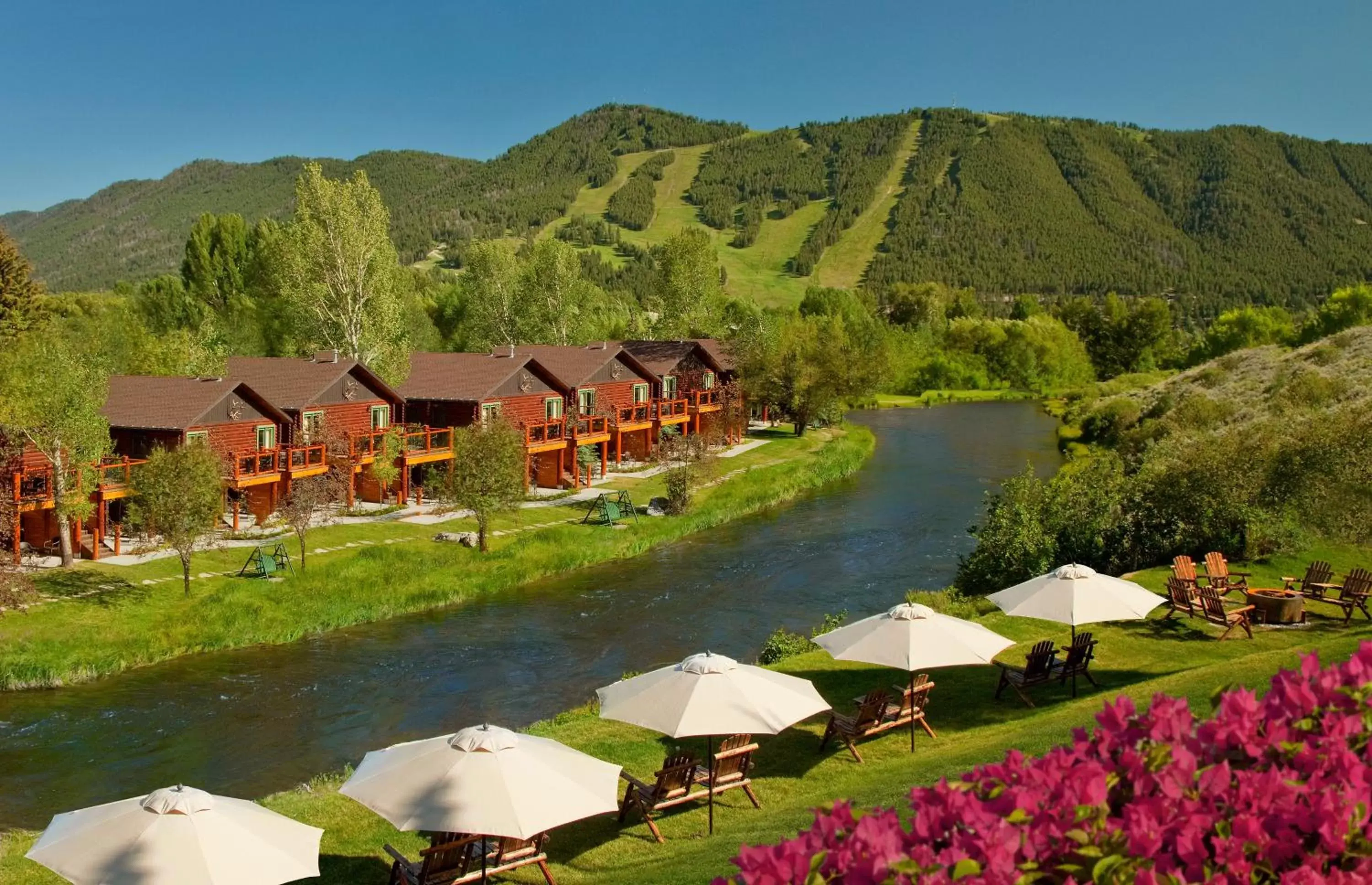 Natural landscape in Rustic Inn Creekside