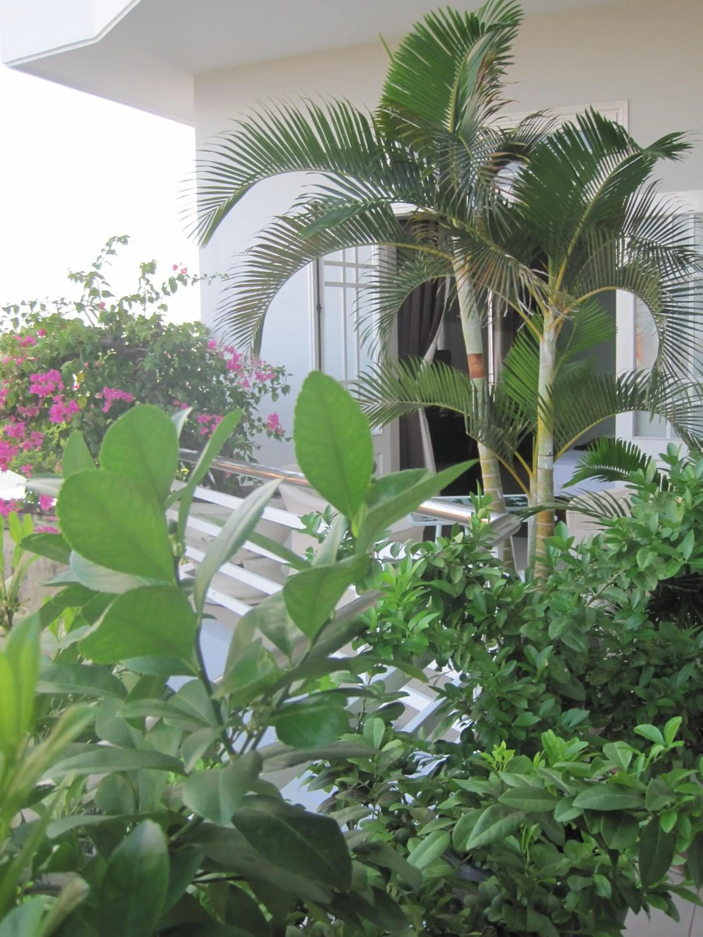 Balcony/Terrace in The Moon Villa Hoi An