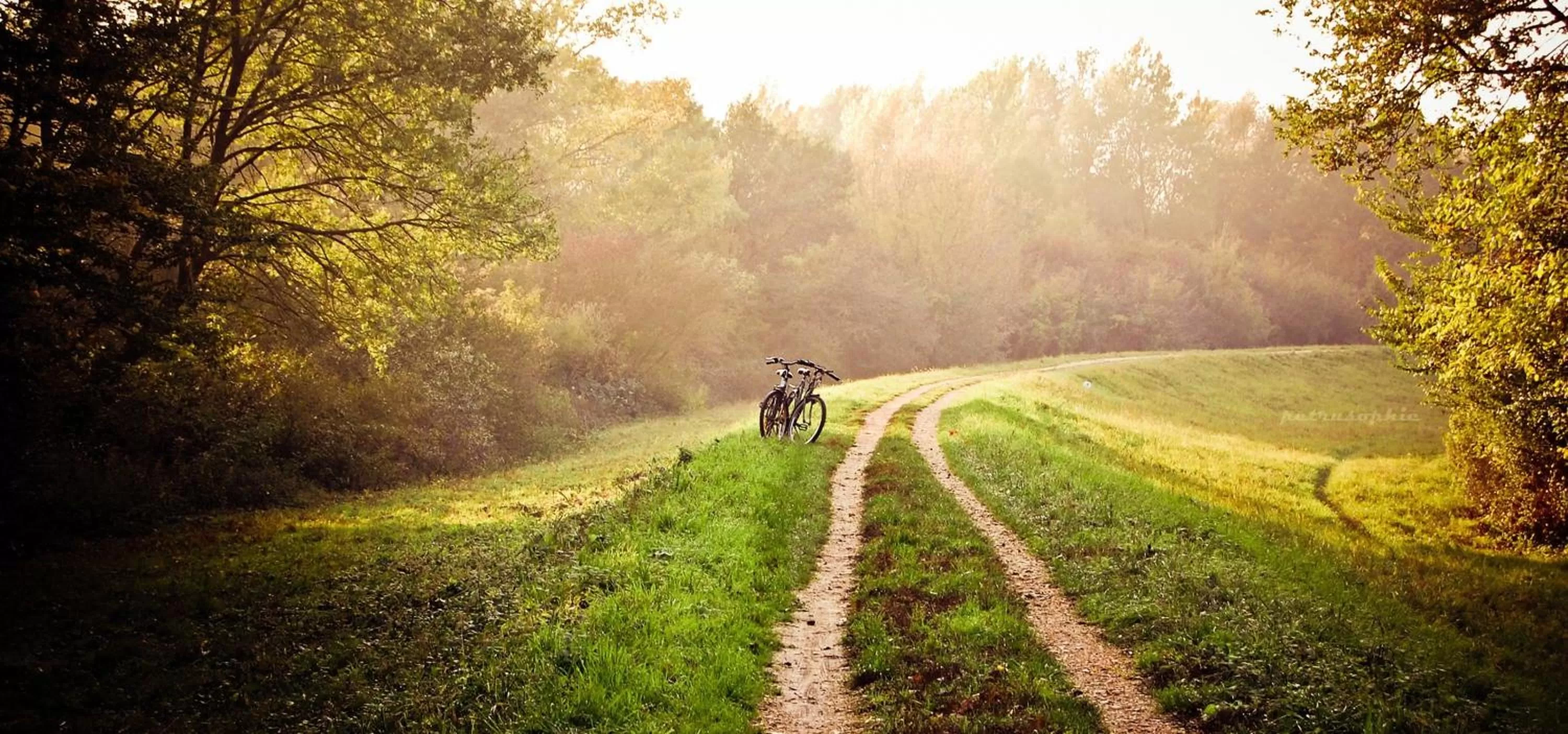 Nearby landmark in Relais Montemaggiore