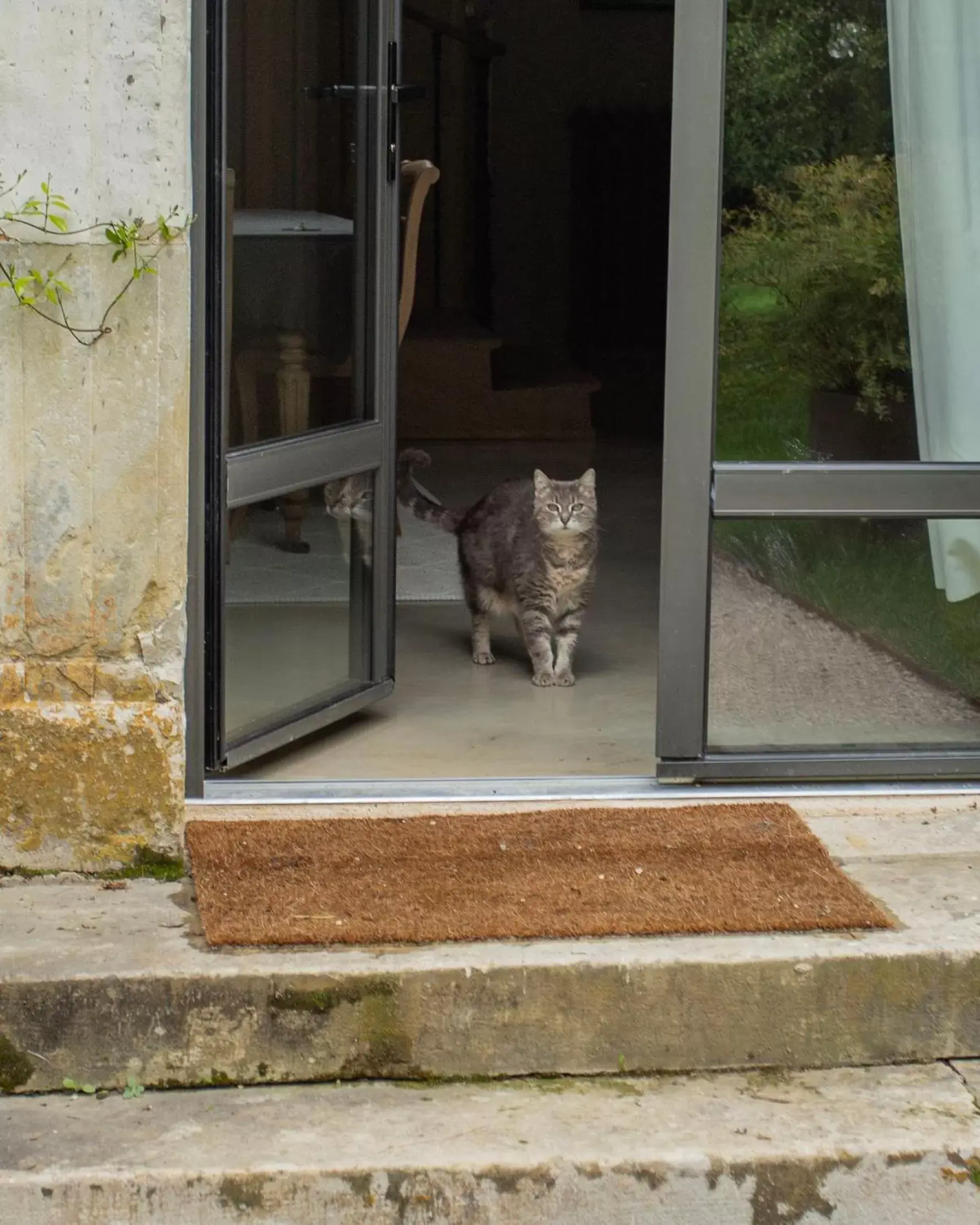 Pets in Domaine de La Soudelle