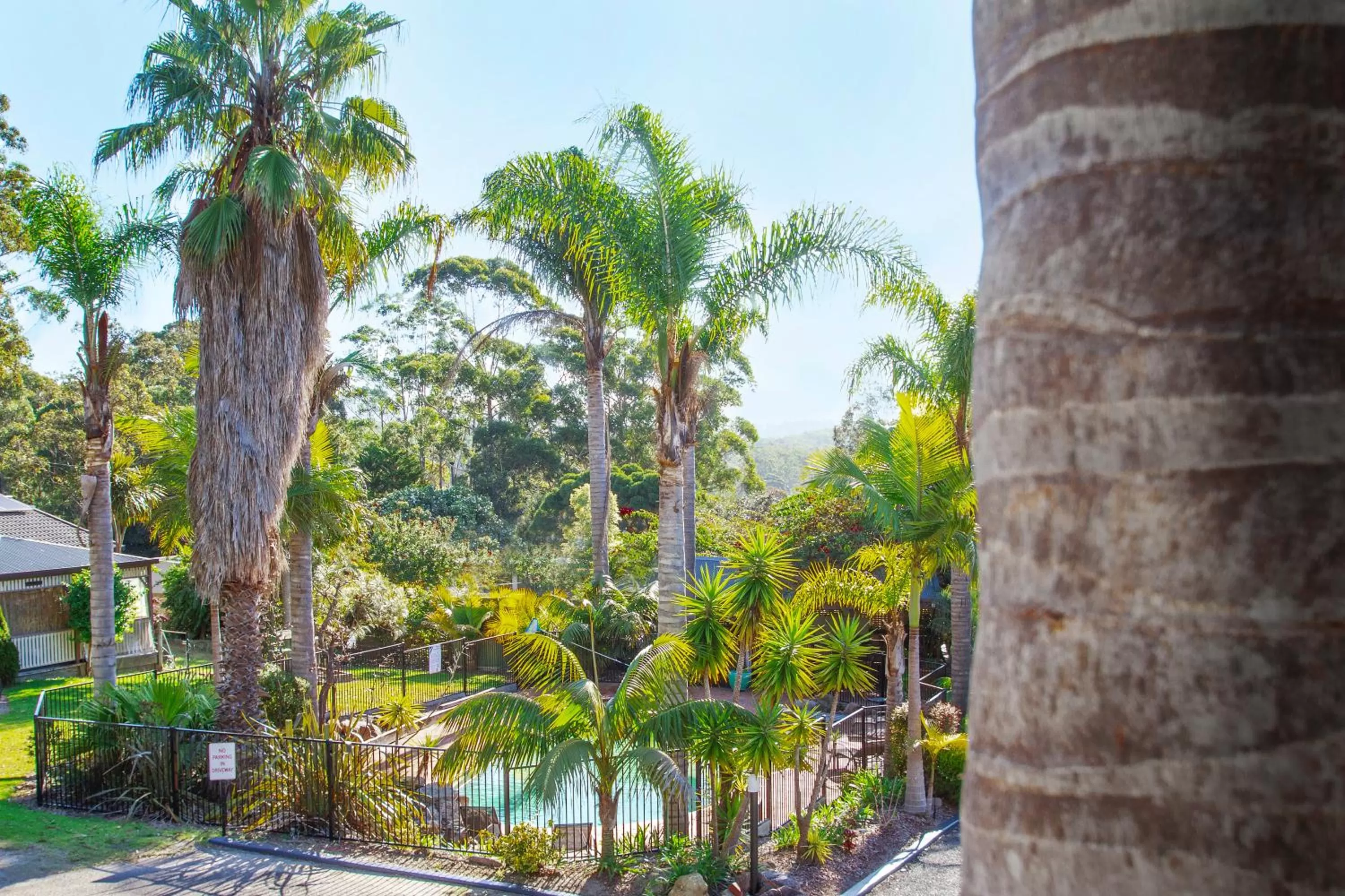 Garden in Fairway Motor Inn