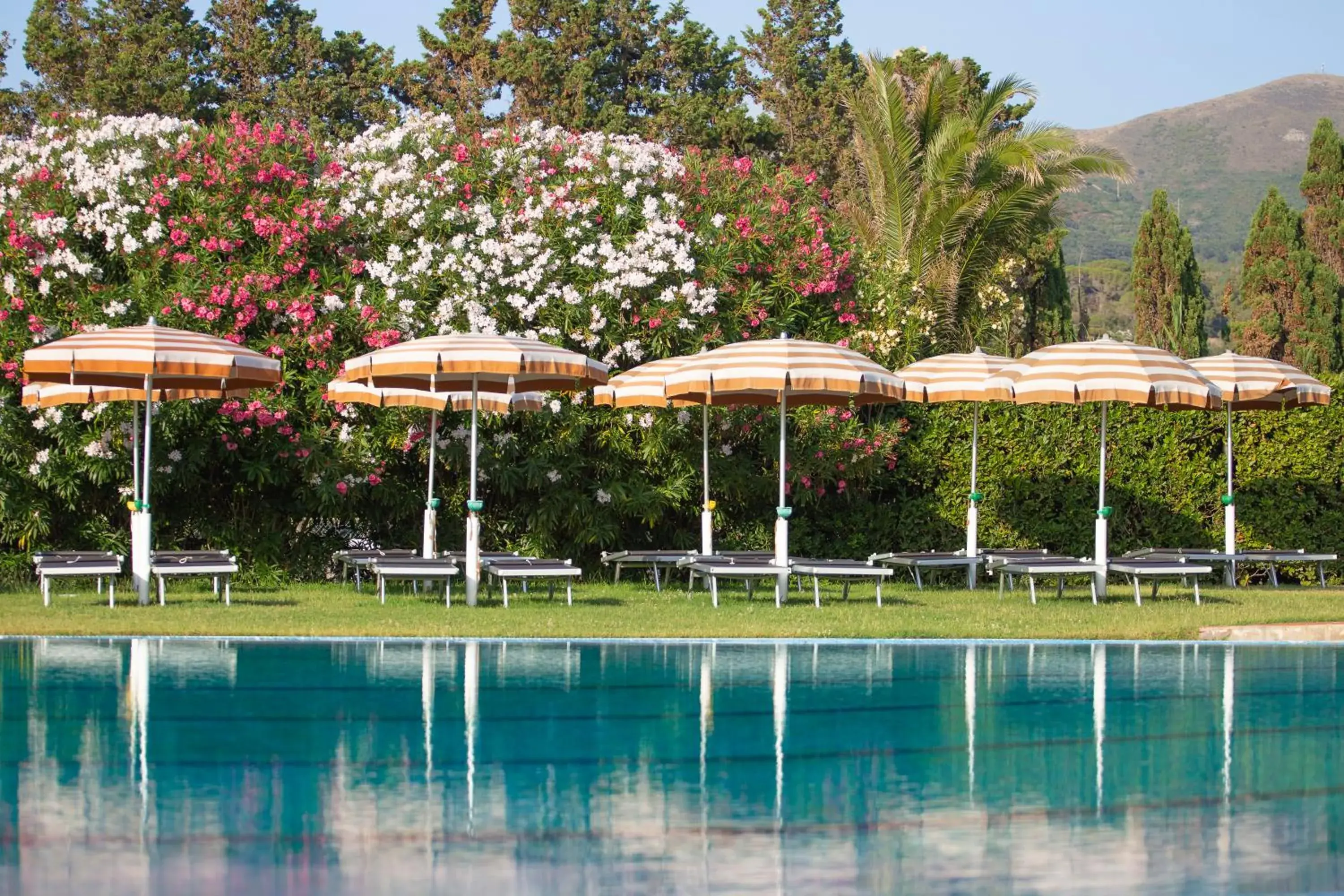 Swimming Pool in Hotel Fabricia