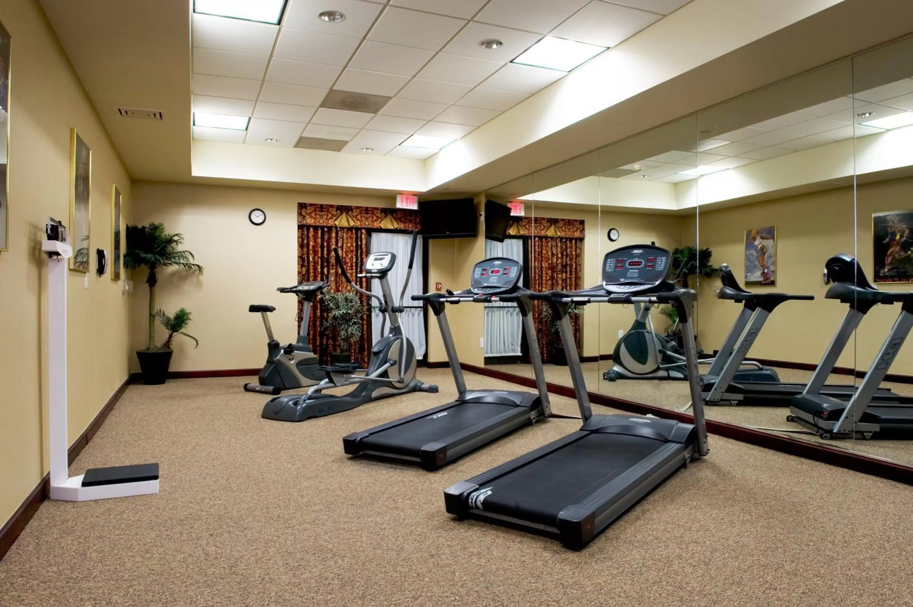 Fitness centre/facilities in Holiday Inn Express Hotel & Suites Dallas Fort Worth Airport South by IHG