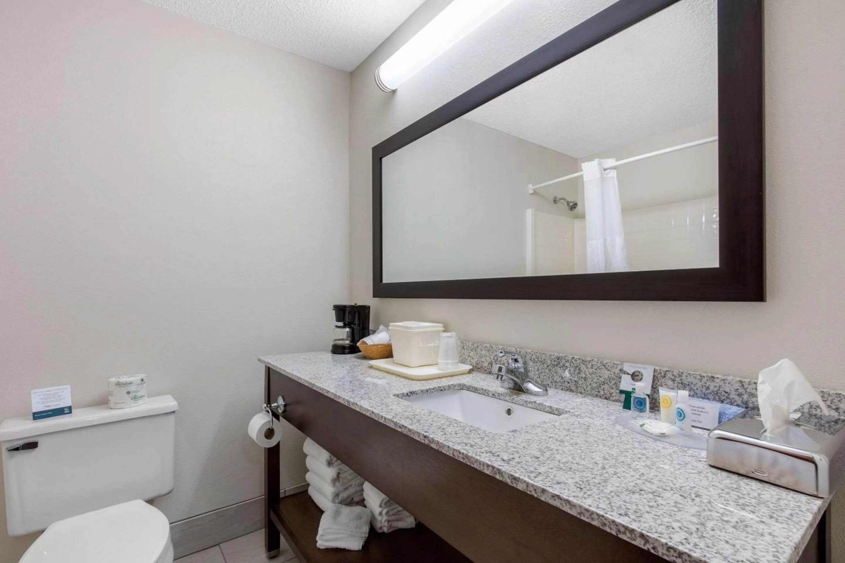Bathroom in Quality Inn & Suites Mountain Home North