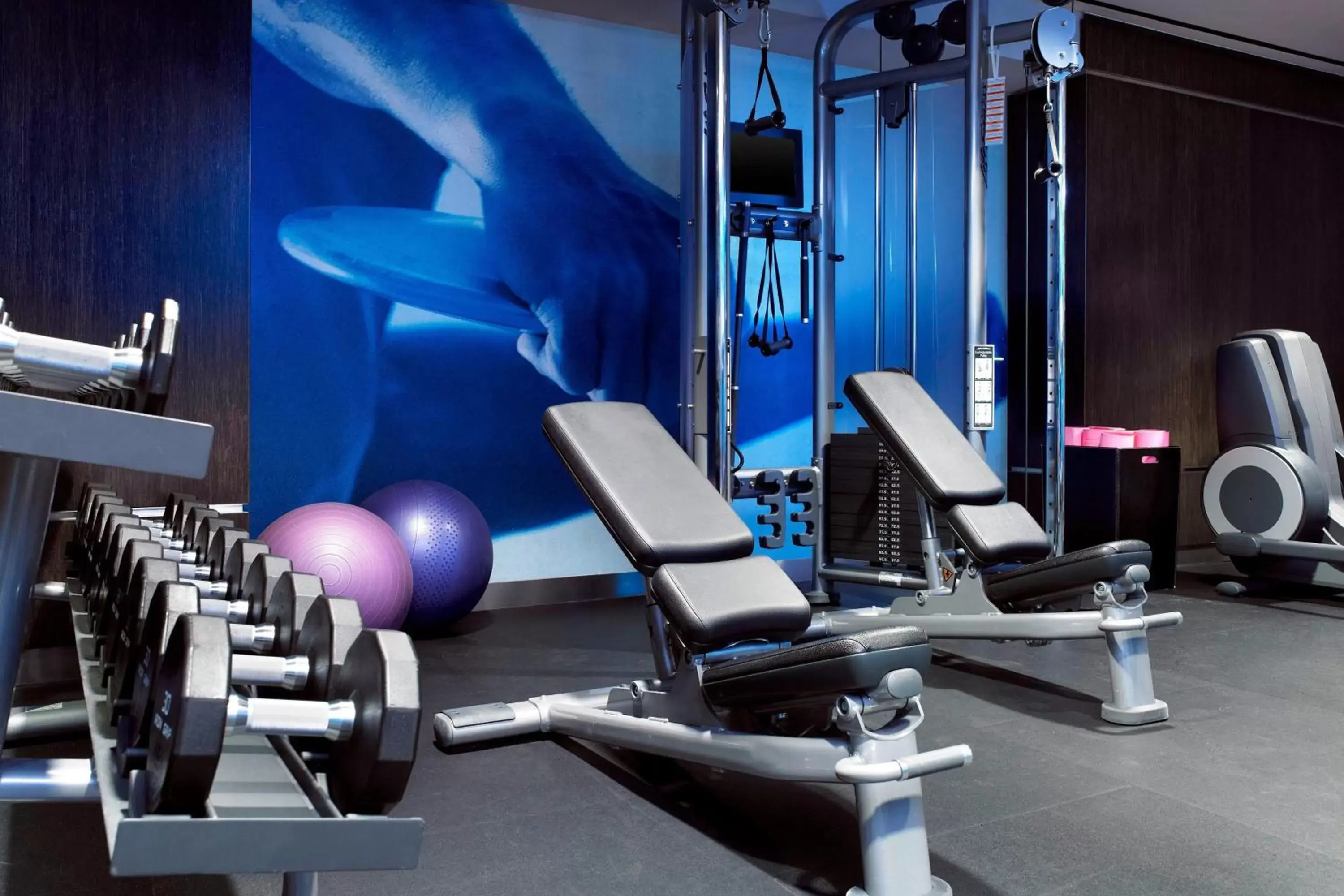 Fitness centre/facilities, Fitness Center/Facilities in W Los Angeles – West Beverly Hills