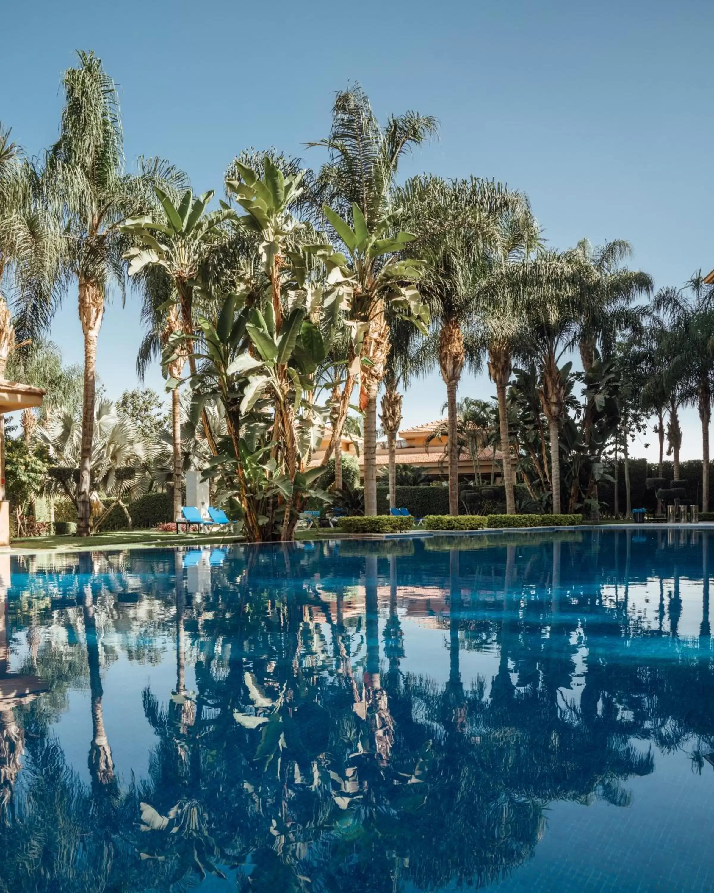 Swimming Pool in Dusit Thani LakeView Cairo