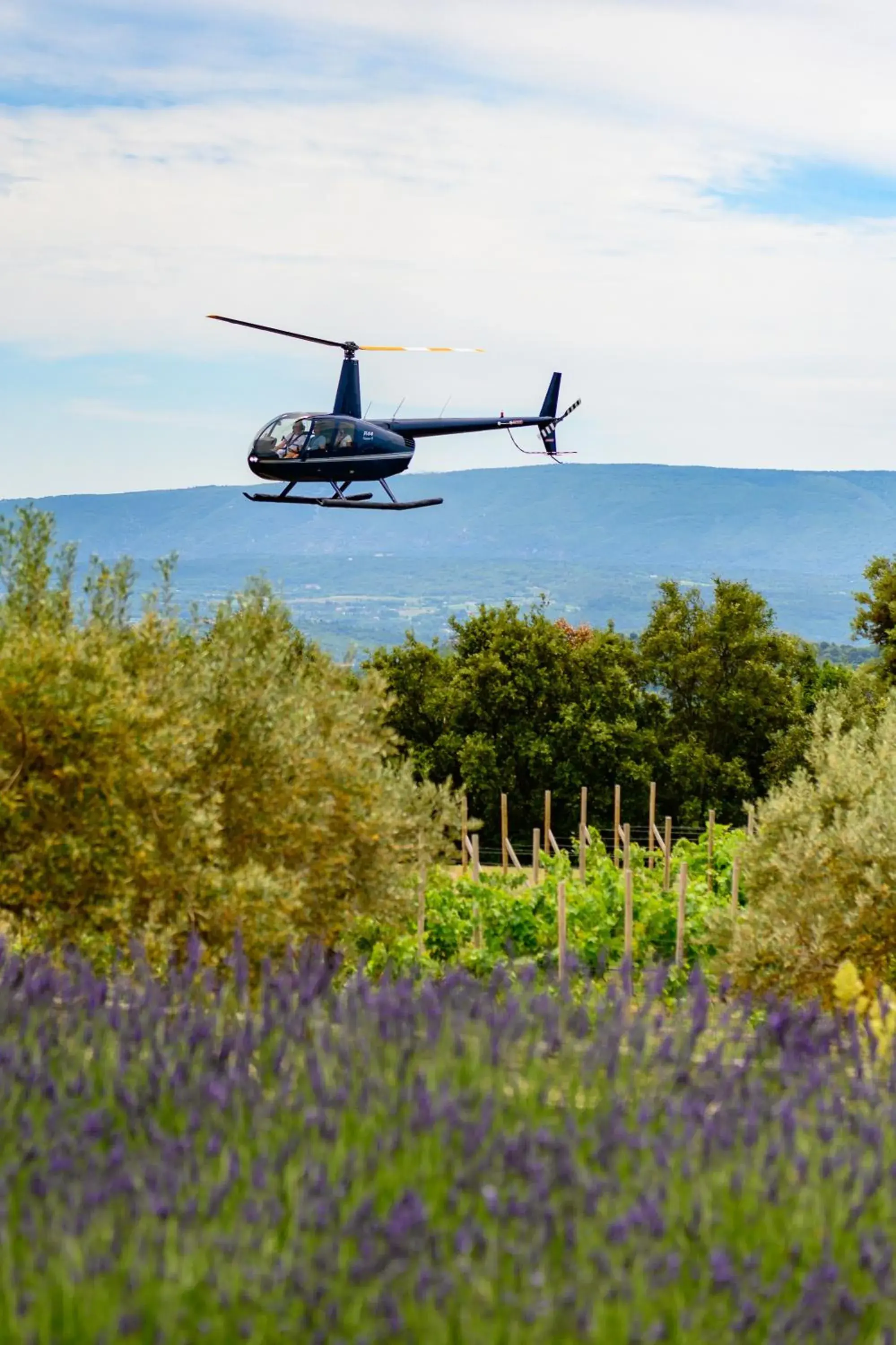 Natural landscape in Hotel Les Bories & Spa