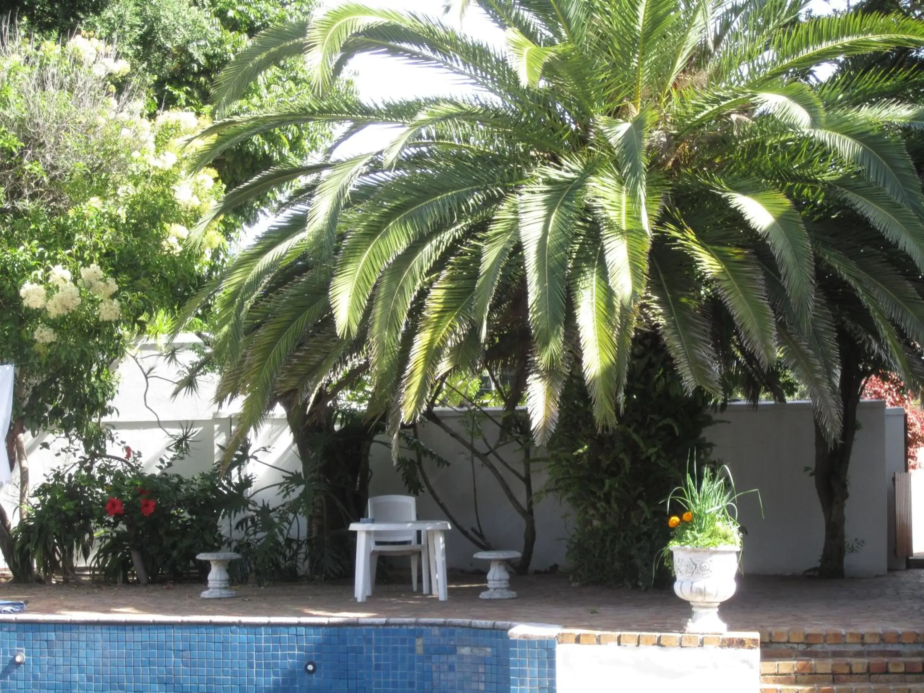 Balcony/Terrace, Swimming Pool in Applegarth B&B and Self-Catering Studios