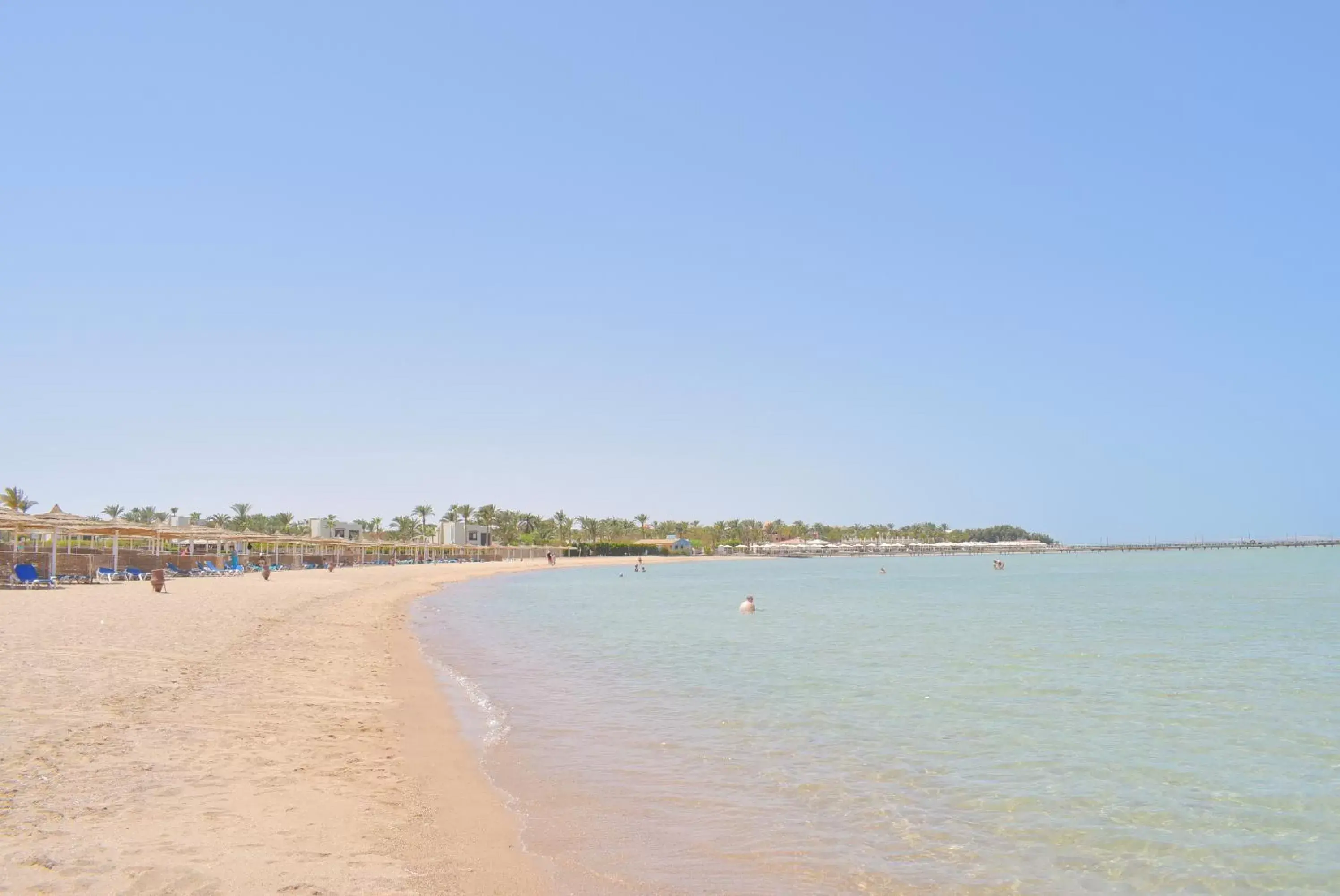 Natural landscape, Beach in Jasmine Palace Resort