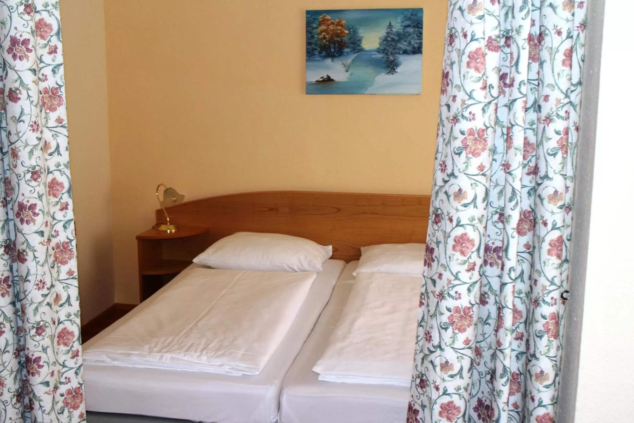 Double Room in Hotel Graf Stadion