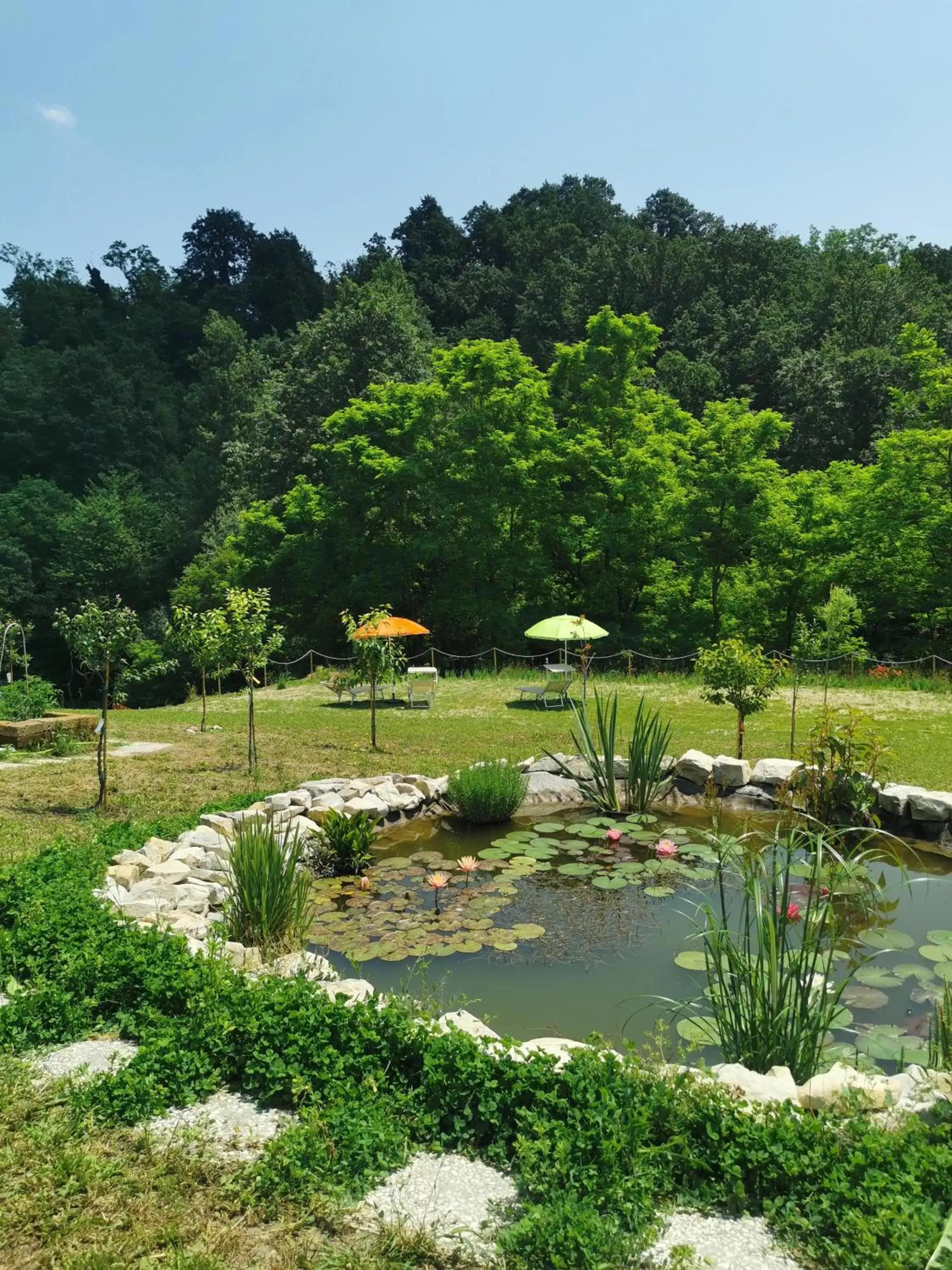 Natural landscape, Garden in Luci nel Bosco