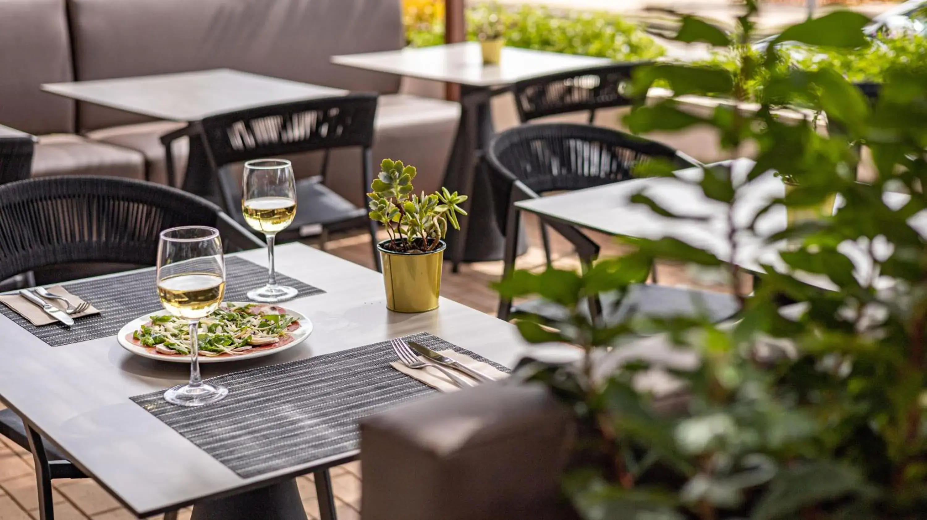 Lounge or bar in Seth Port Ciutadella Lounge or bar in Seth Port Ciutadella