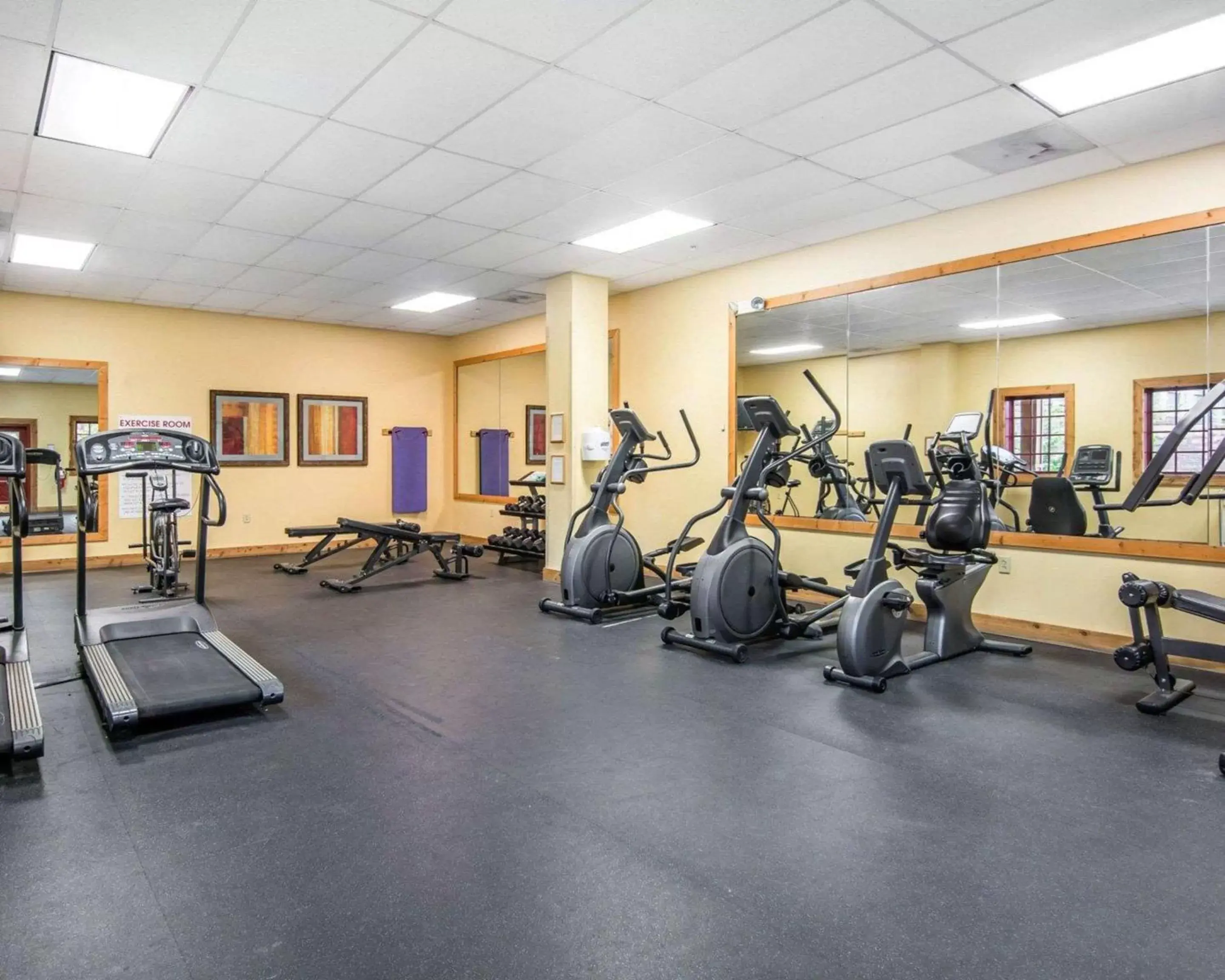 Fitness centre/facilities, Fitness Center/Facilities in Bluegreen Vacations Shenandoah Crossing, Ascend Resort Collection