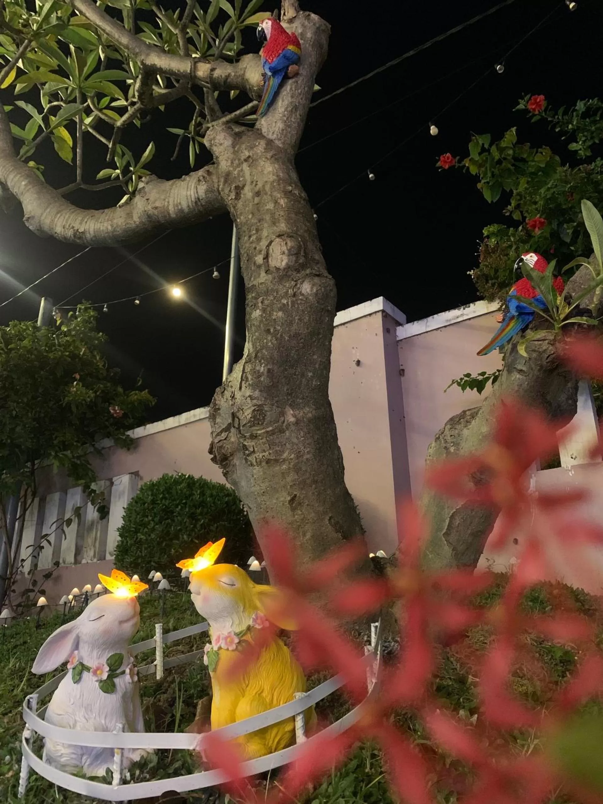 Night in D'Villa Hotel - Homestay