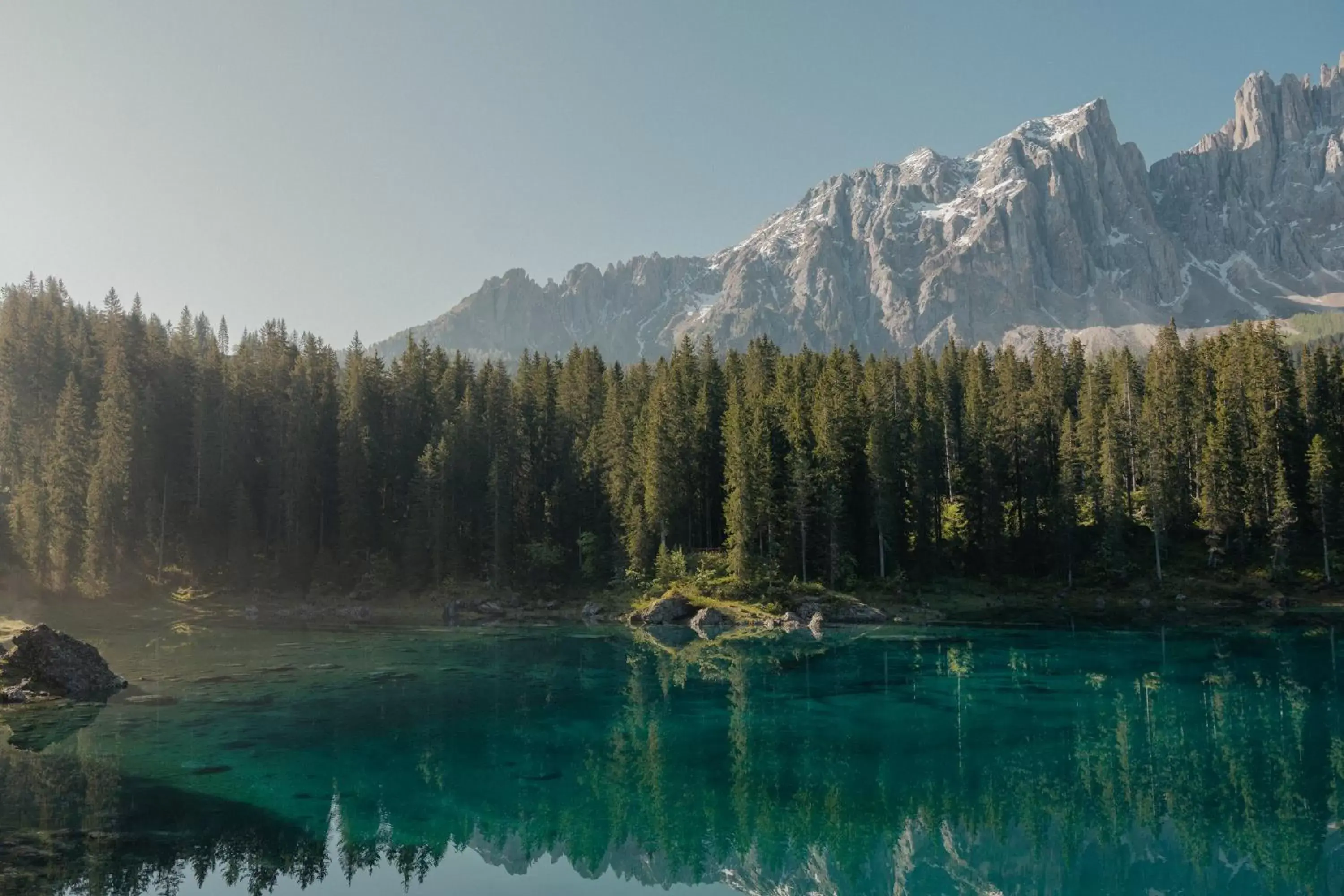 Natural landscape in Hotel Alpenrose