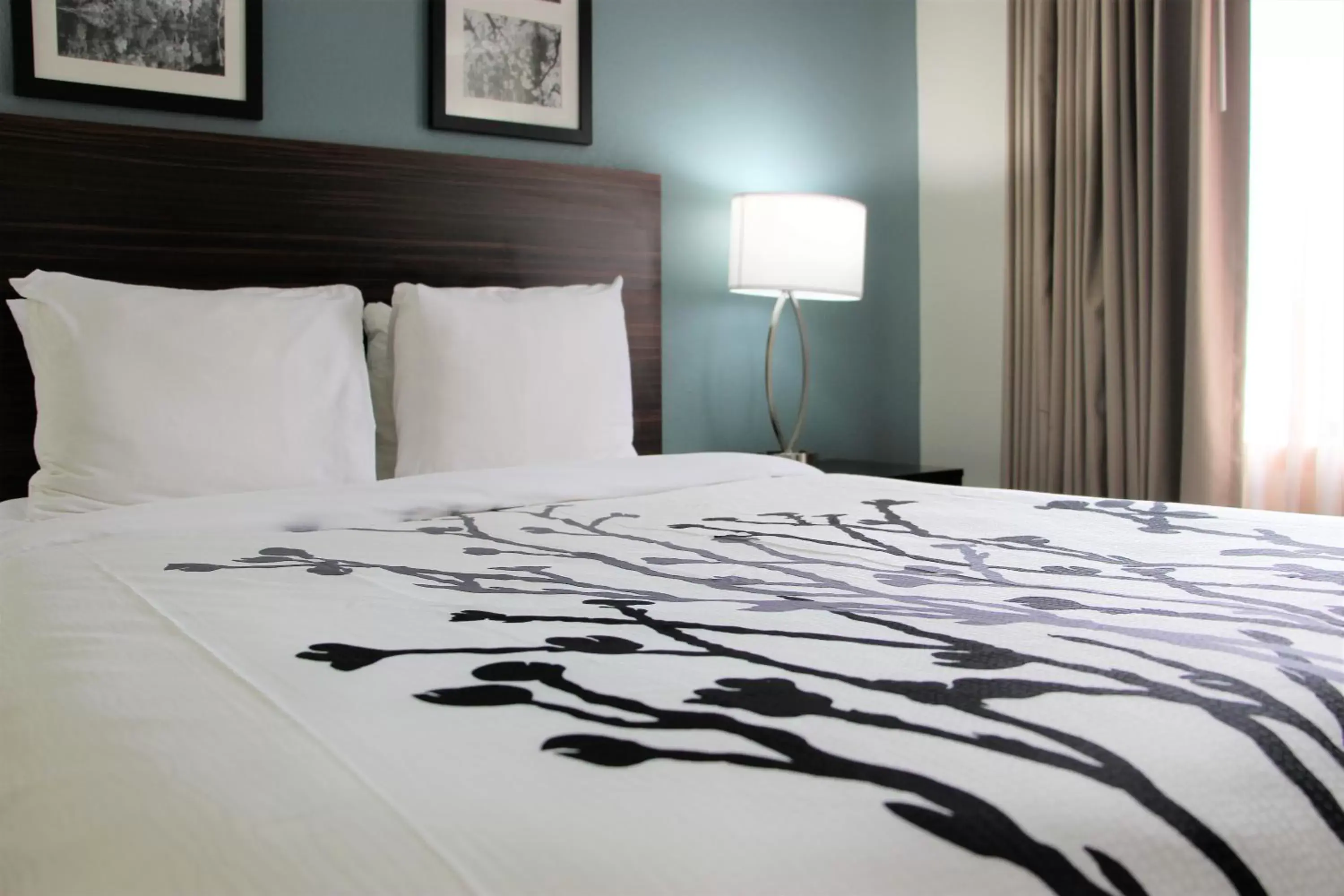 Bed in Sleep Inn Chattanooga Hamilton Place Bed in Sleep Inn Chattanooga Hamilton Place