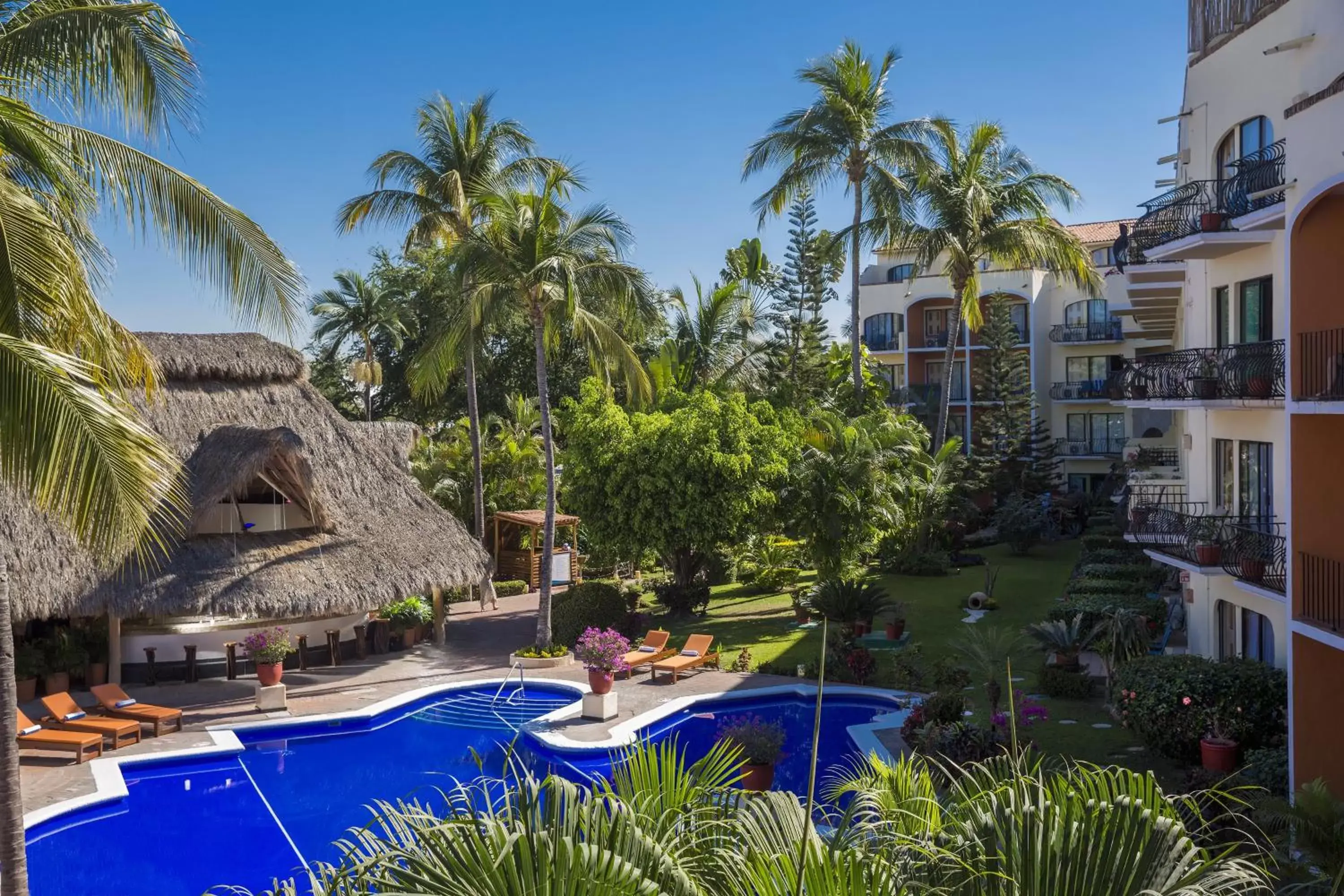 Activities, Swimming Pool in Flamingo Vallarta Hotel & Marina