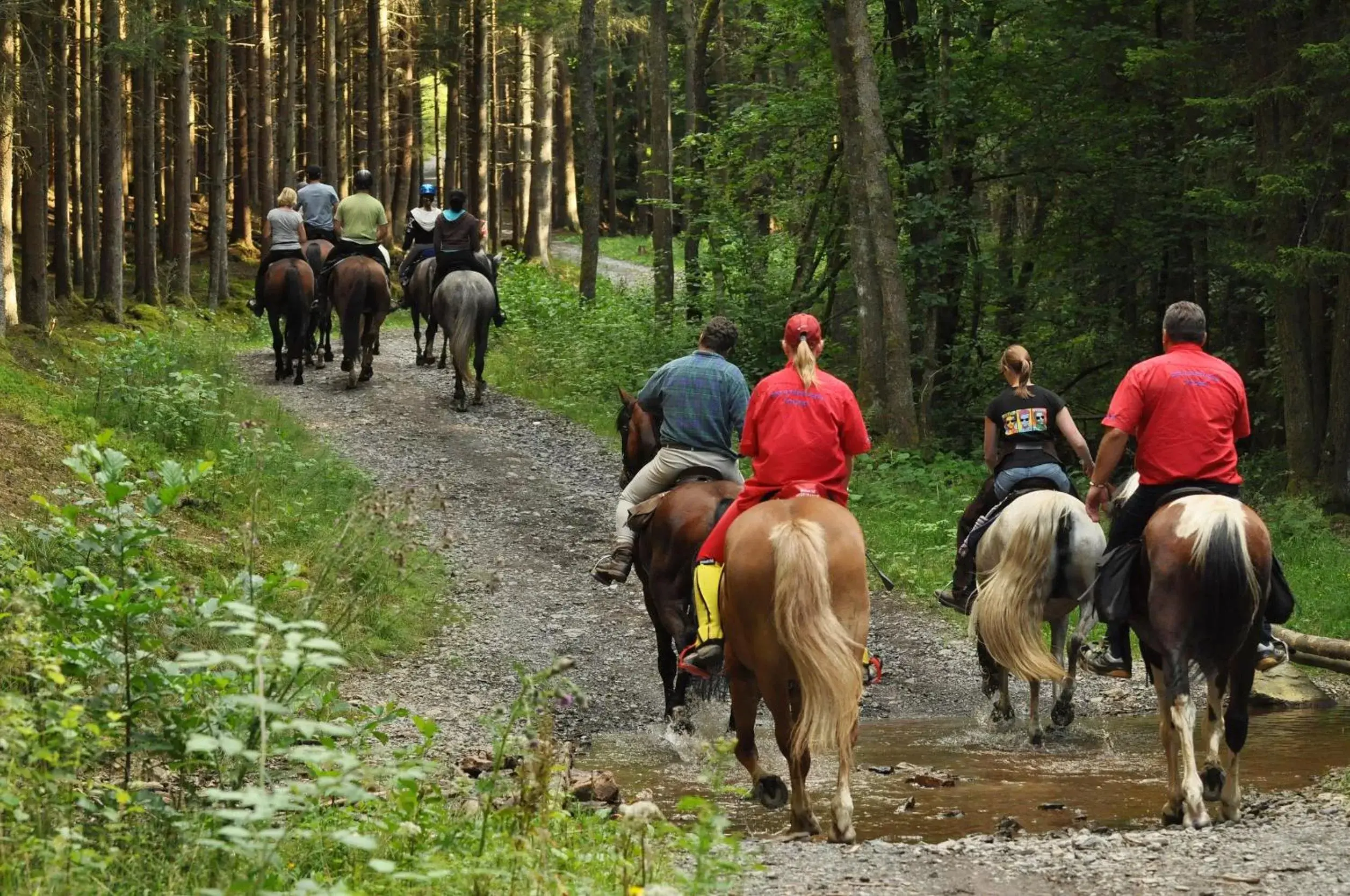 Horse-riding, Horseback Riding in Hotel Restaurant Les Brases