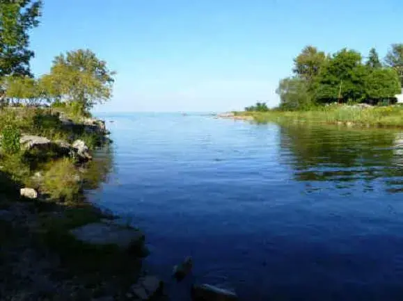 River view in Royal Harbour Resort