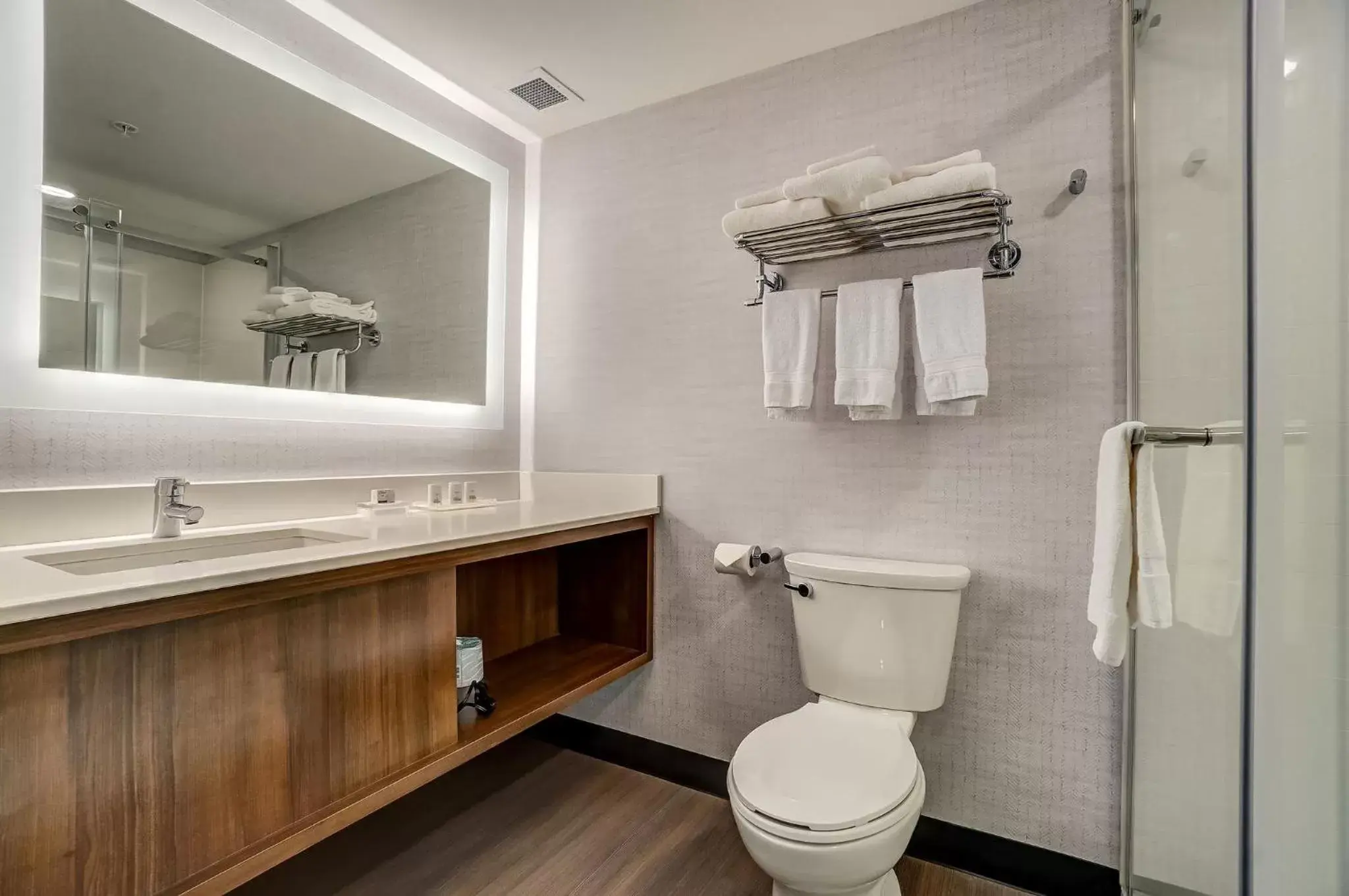 Bathroom in Holiday Inn Gatineau - Ottawa, an IHG Hotel