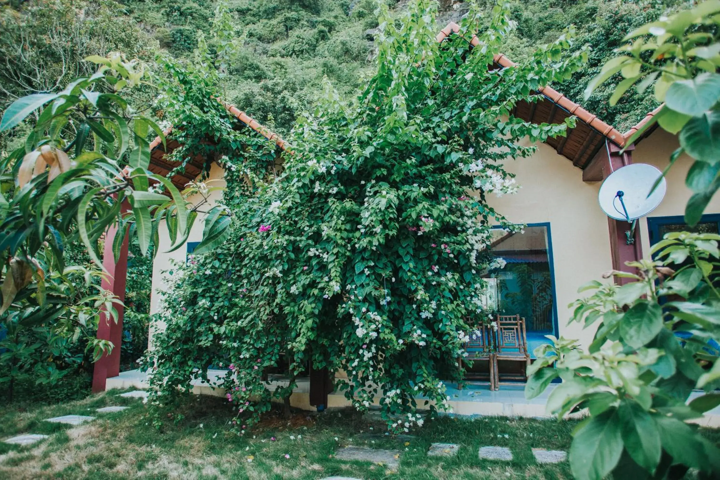 Garden in Trang An Retreat