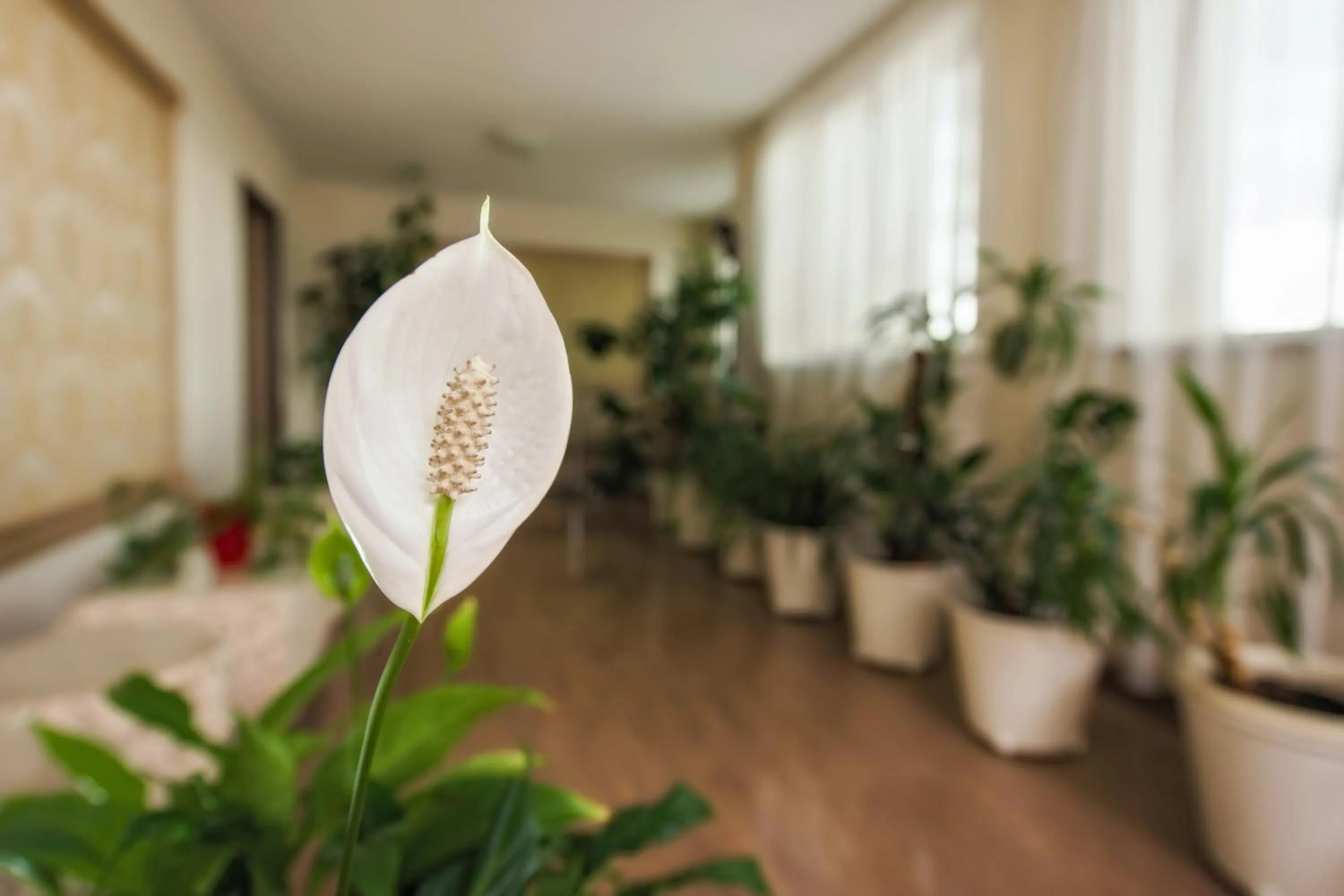 Other in Hotel Ozana