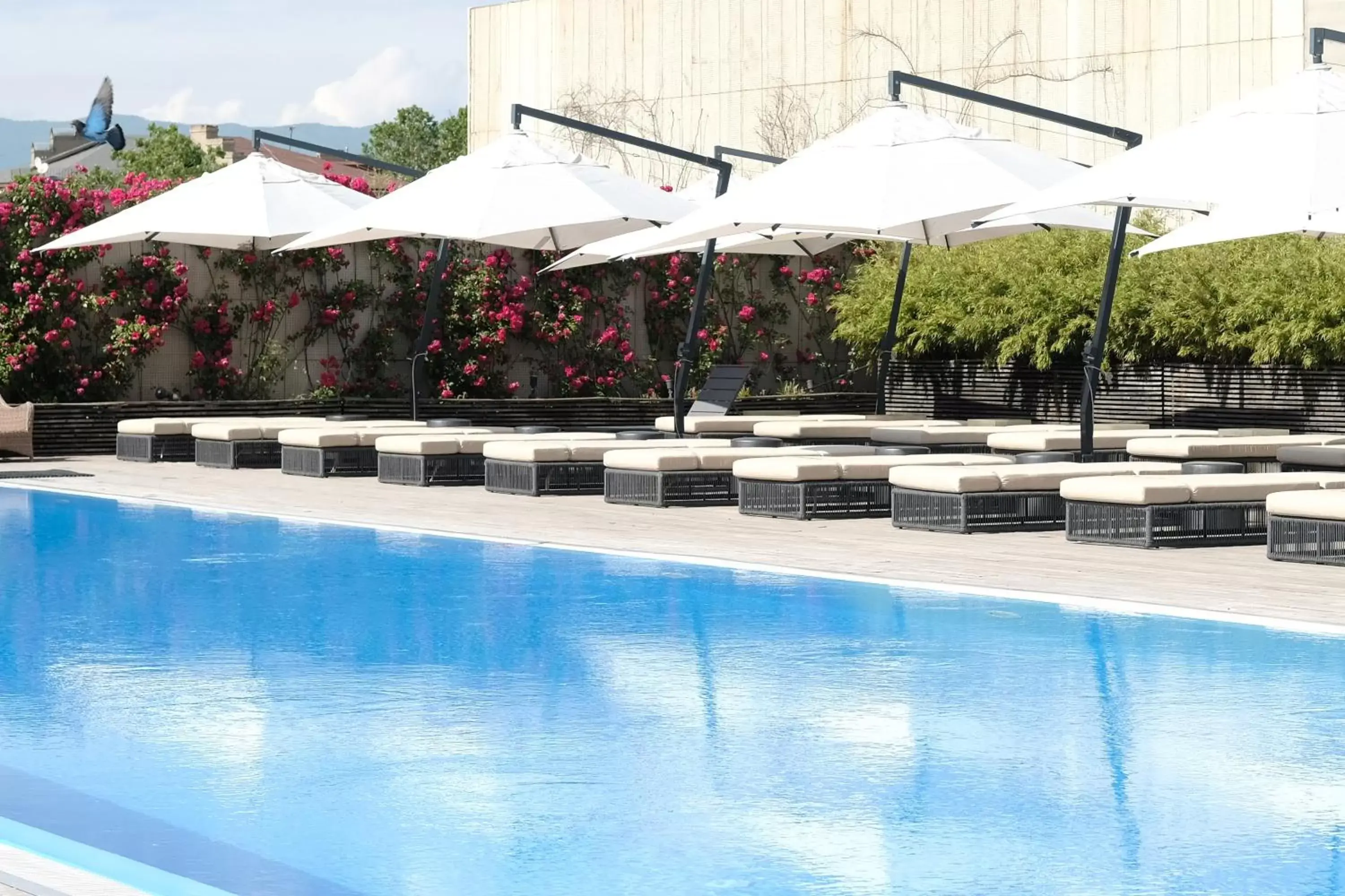 Swimming Pool in Holiday Inn - Tbilisi, an IHG Hotel