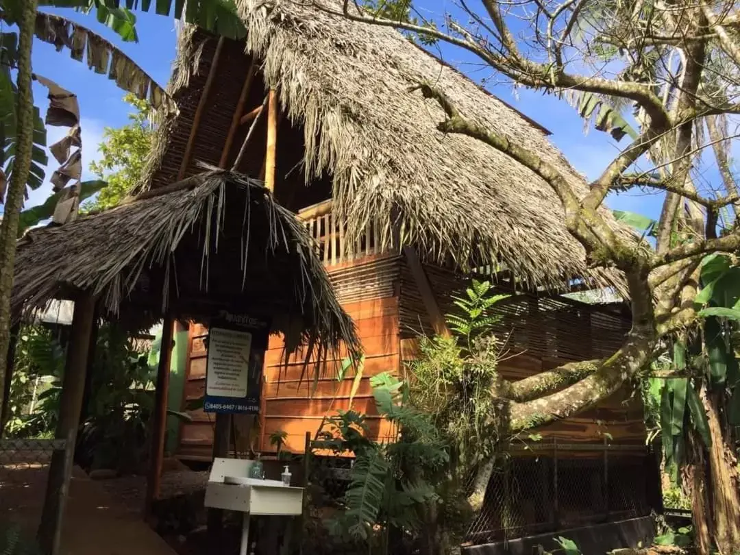 Property Building in Iguanitas Lodge