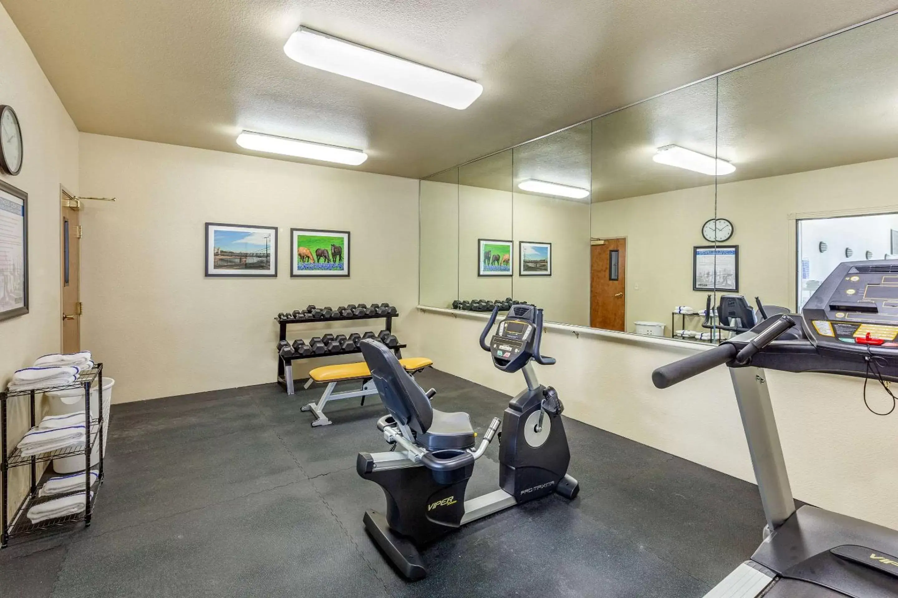 Fitness centre/facilities, Fitness Center/Facilities in Sleep Inn & Suites Hewitt - South Waco