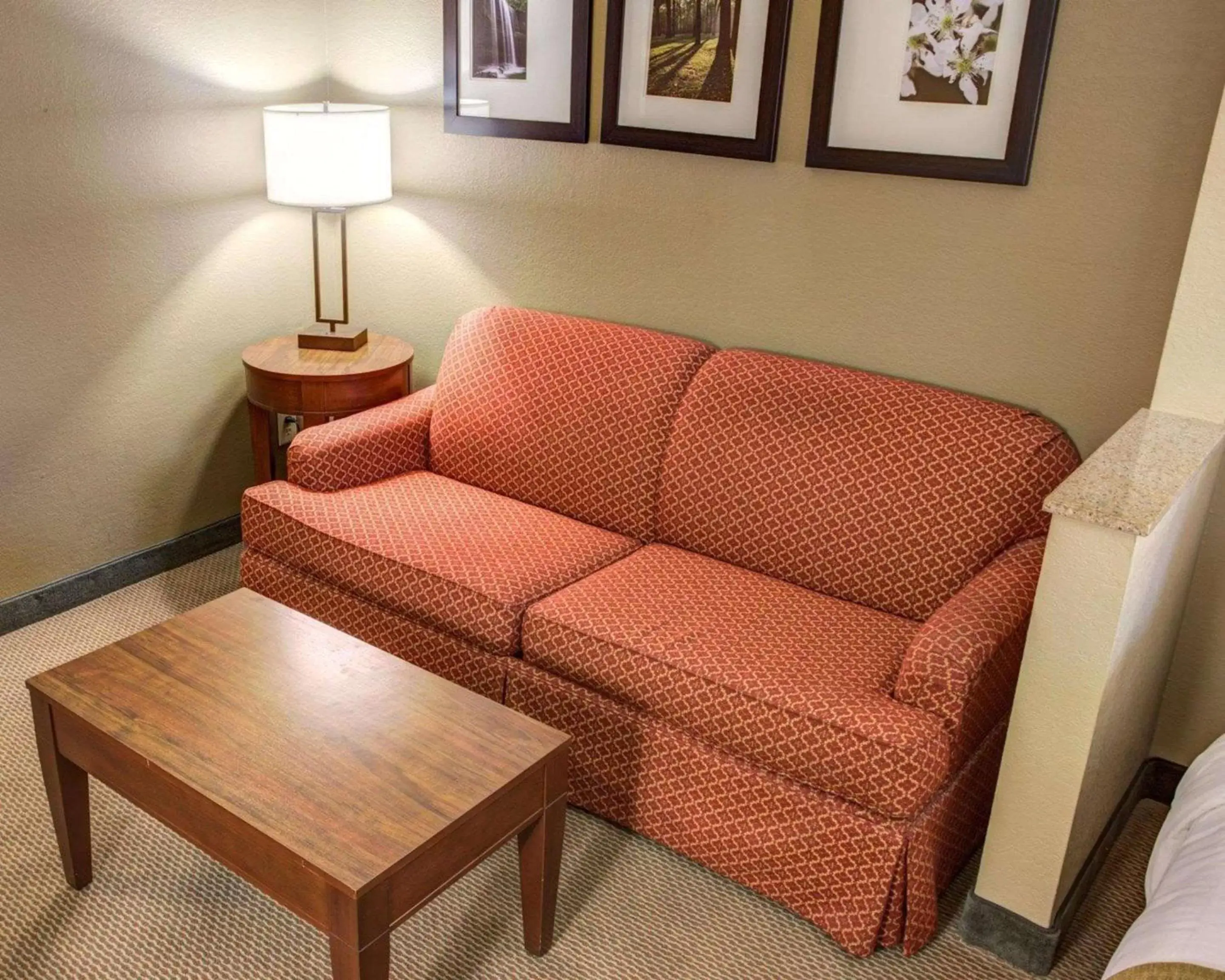 Photo of the whole room, Seating Area in Comfort Suites Gadsden Attalla