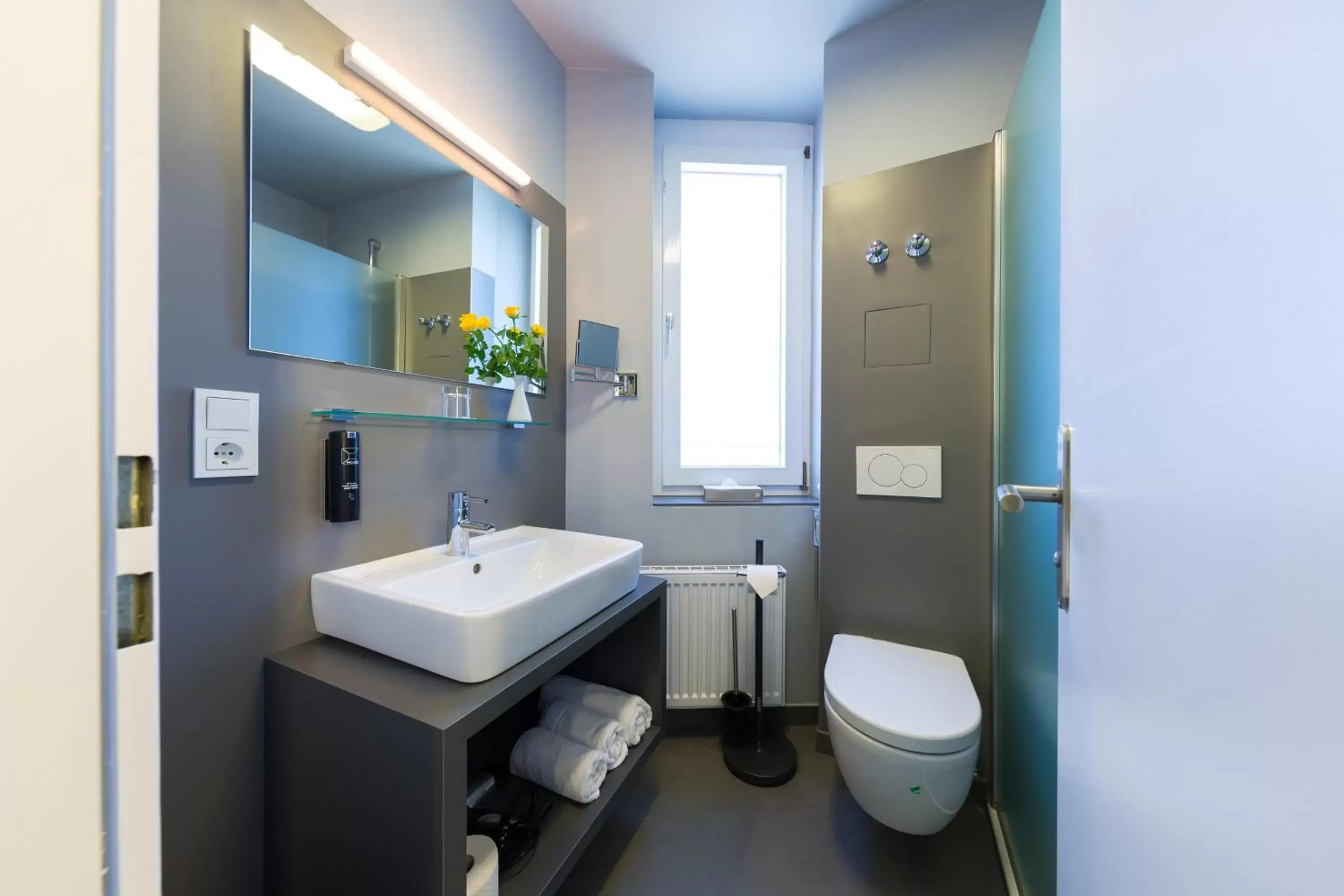 Toilet, Bathroom in mk hotel remscheid