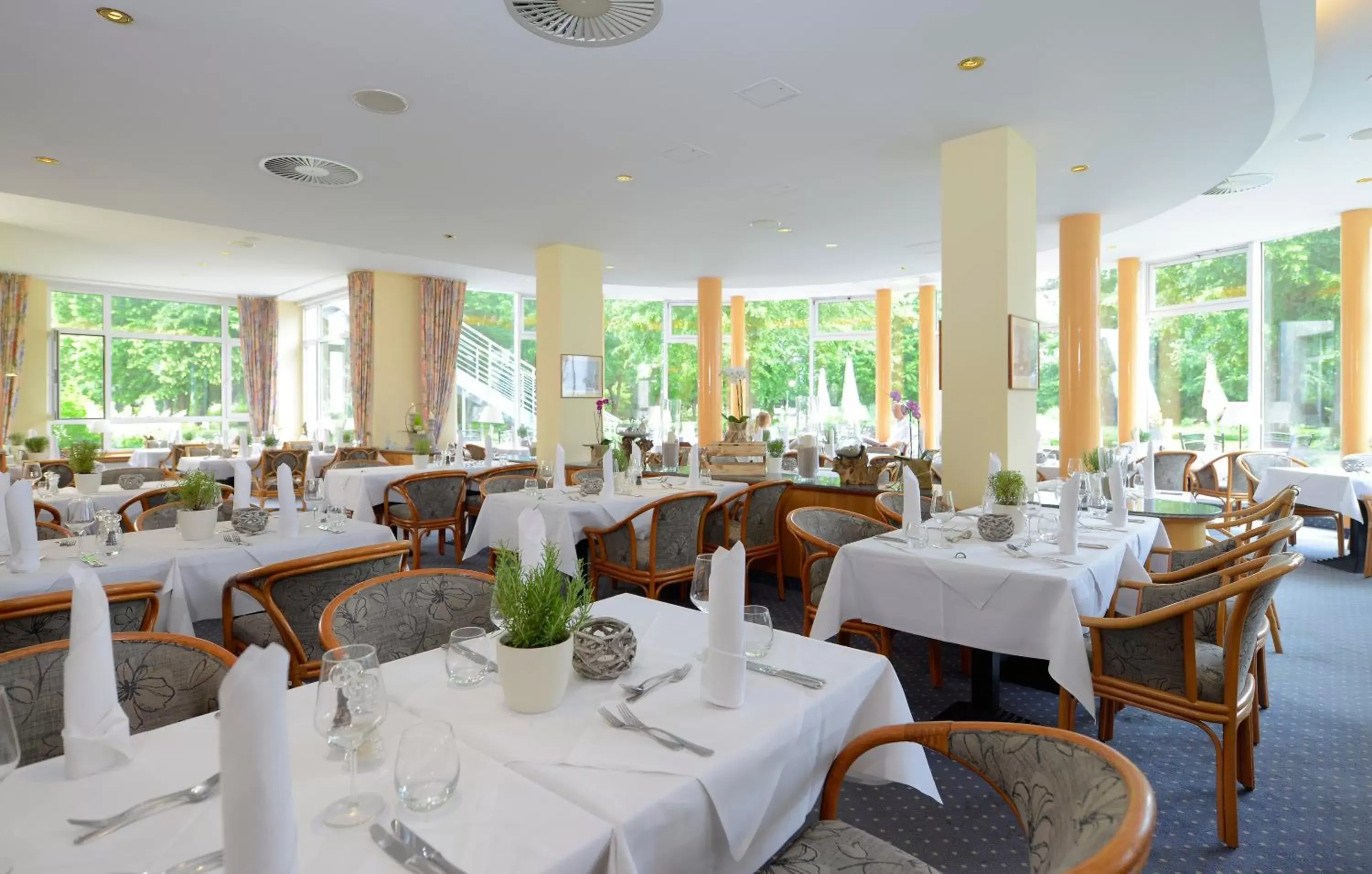 Restaurant/Places to Eat in Seehotel Grossherzog von Mecklenburg