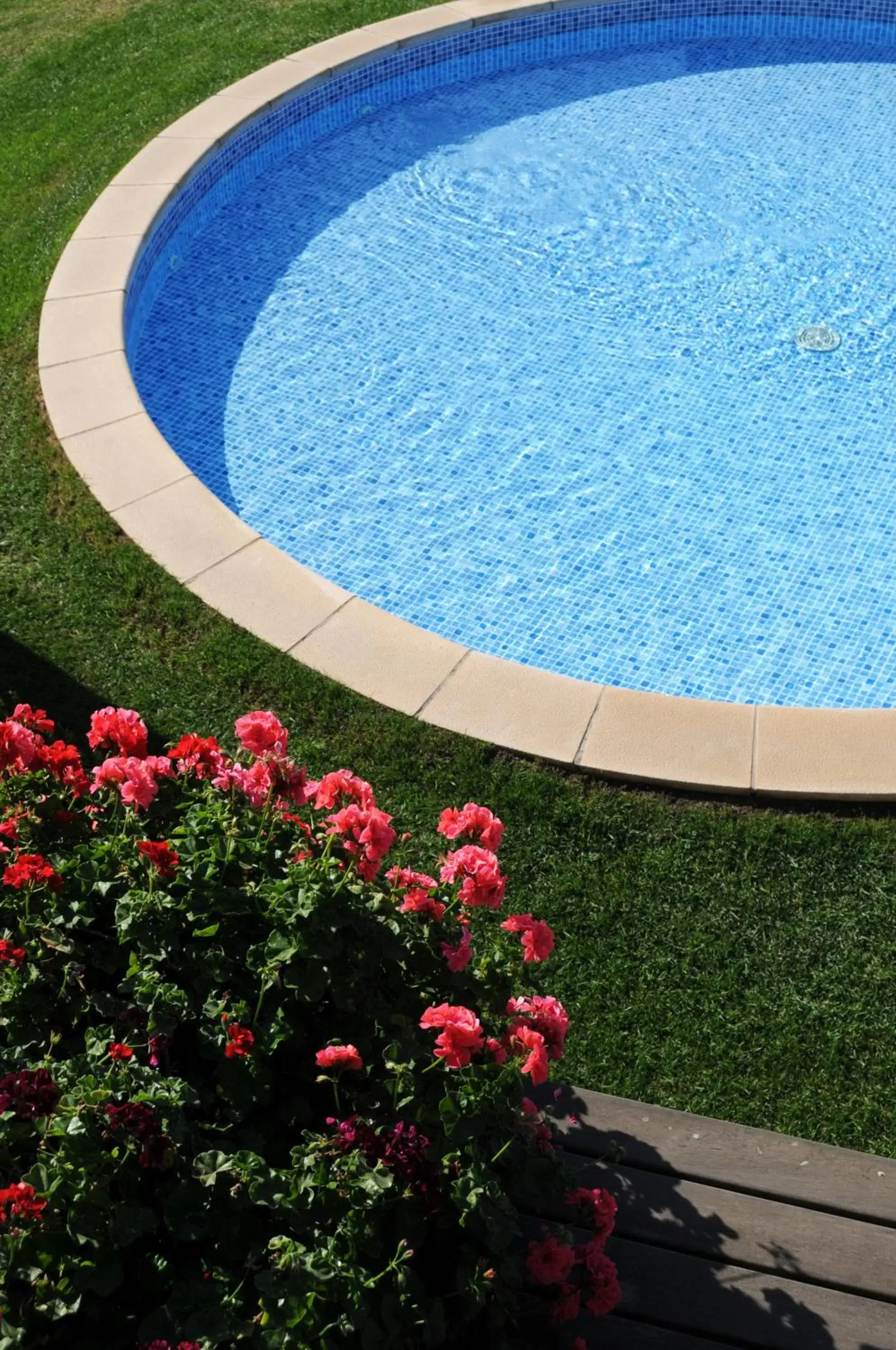 Aqua park, Swimming Pool in Hotel Dom Vasco