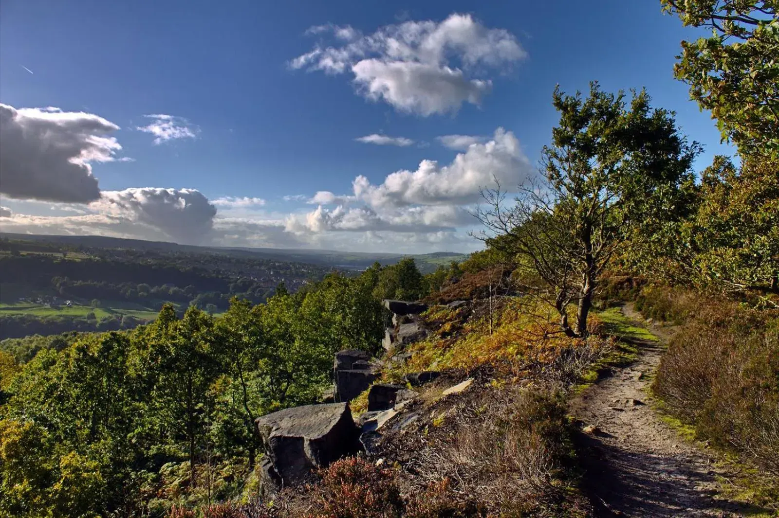 Natural landscape in Wortley Cottage Guest House