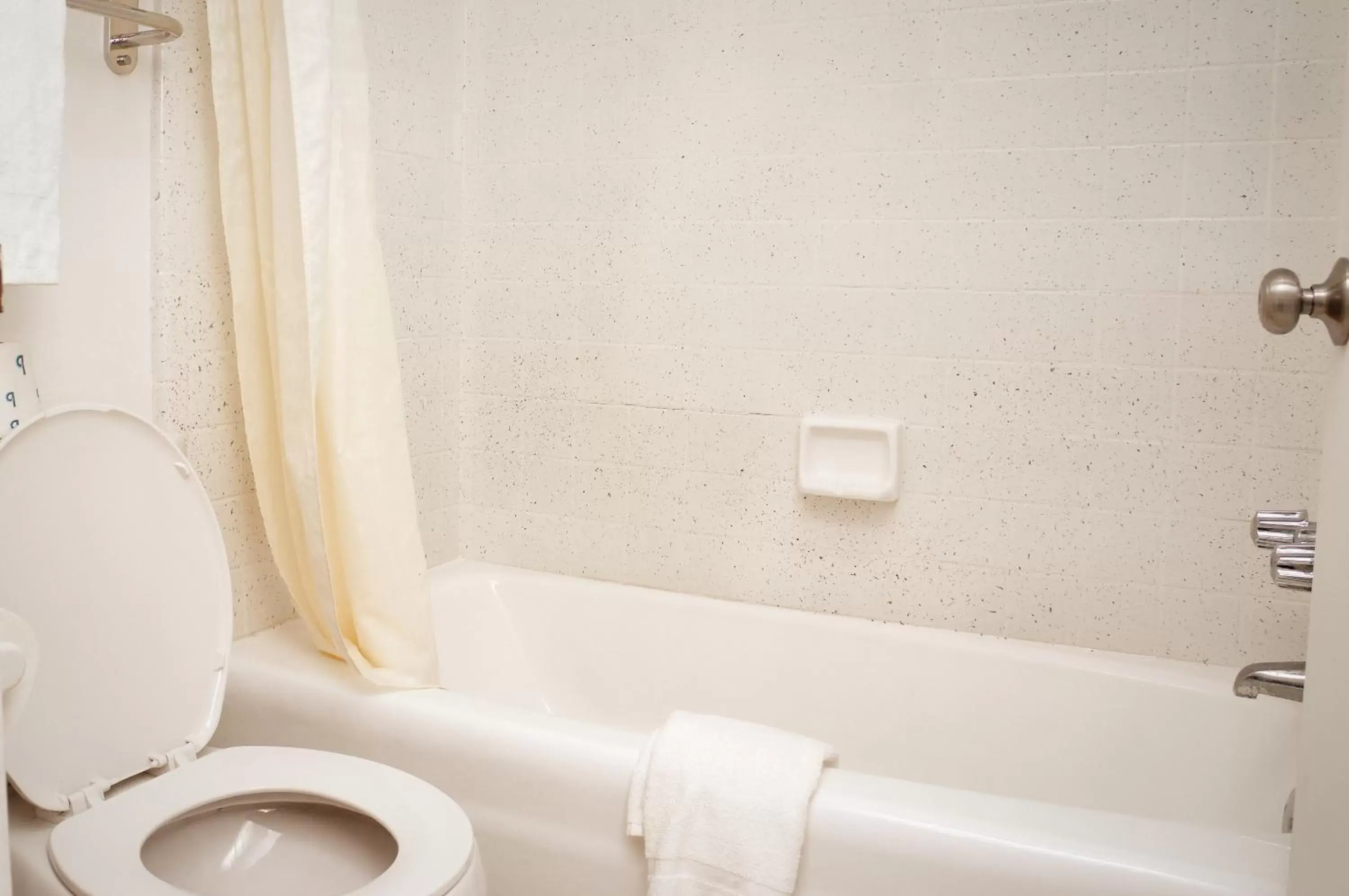 Bathroom in Economy Inn Historic District