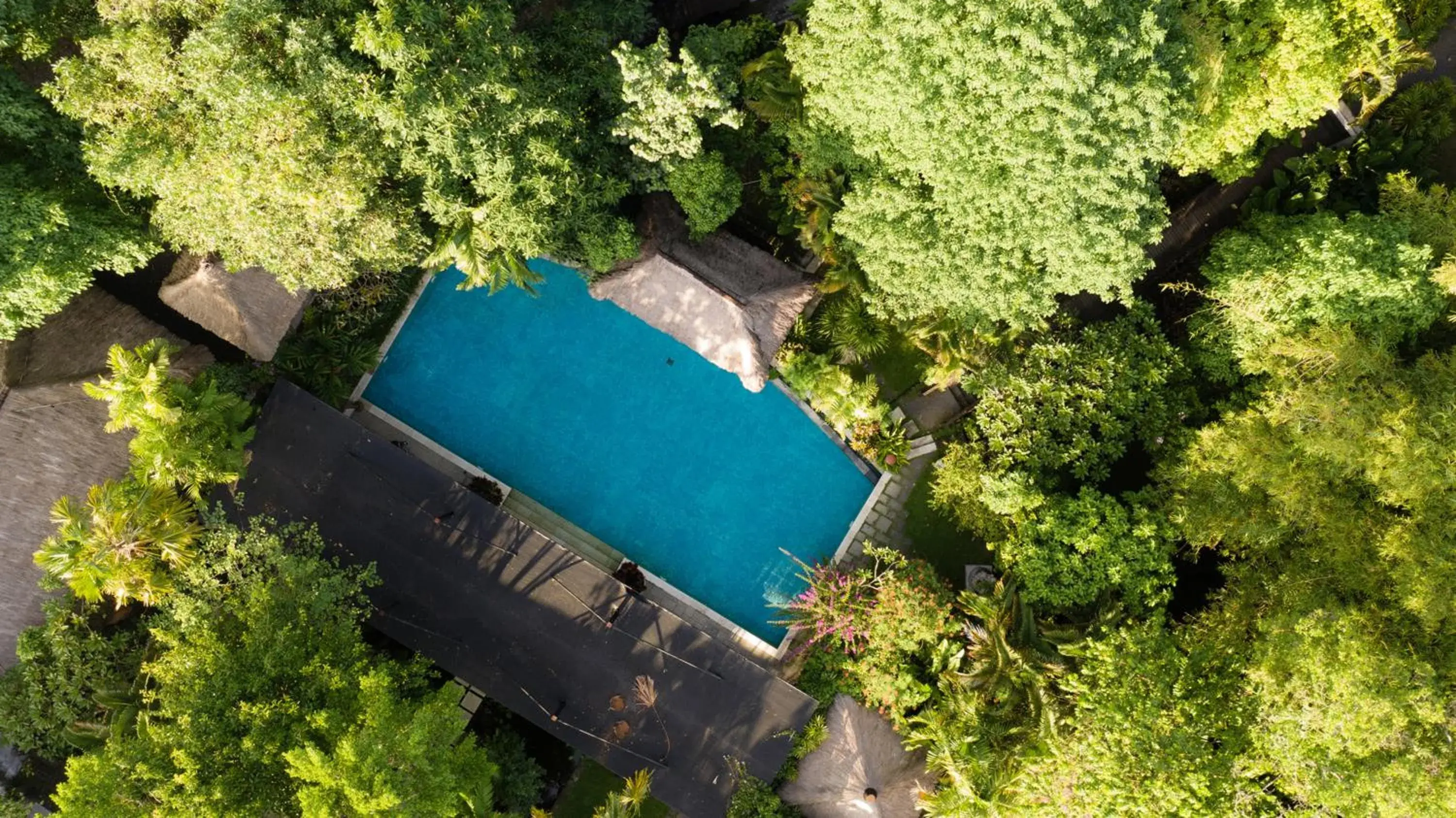 Swimming pool, Bird's-eye View in Villa Canggu by Plataran