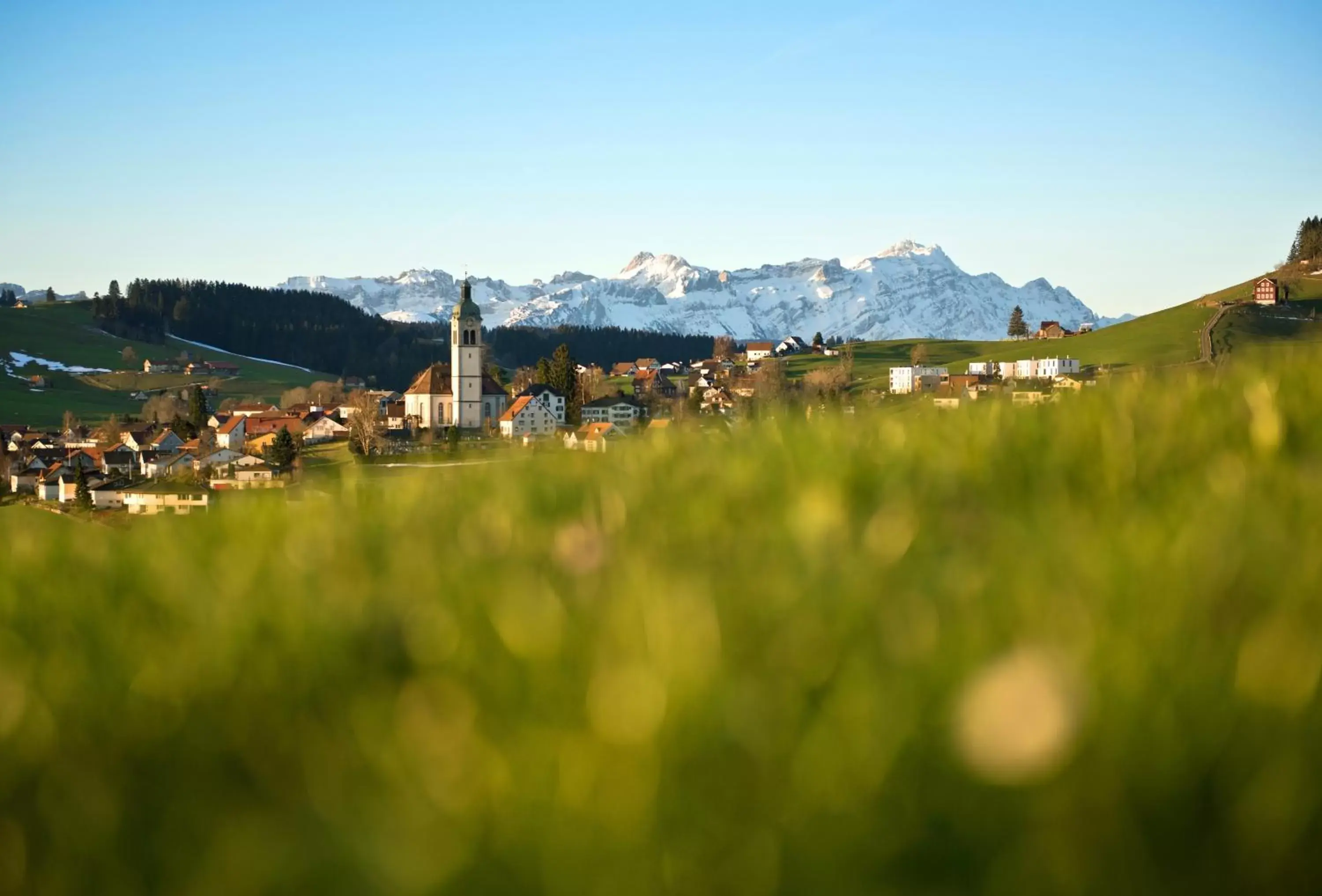 Natural landscape in Gasthaus Krone Speicher Boutique-Hotel