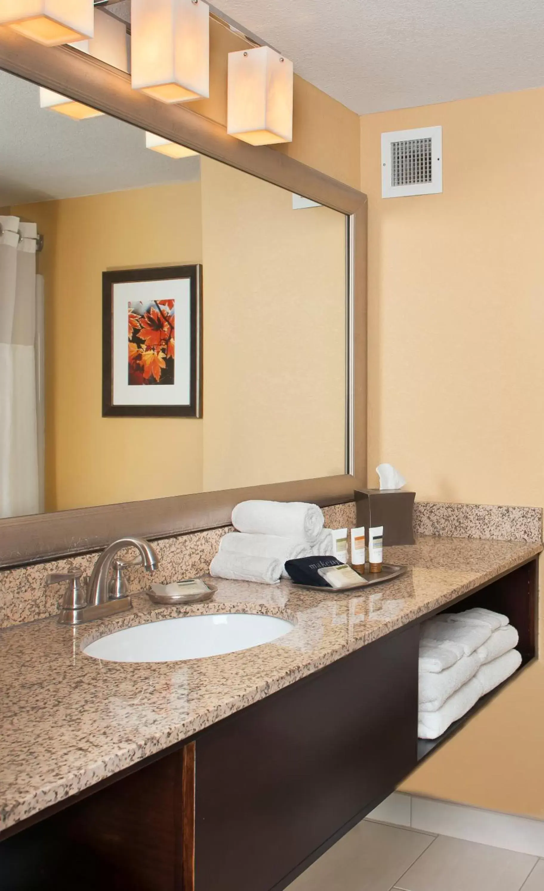 Bathroom in The Branson Hillside Hotel