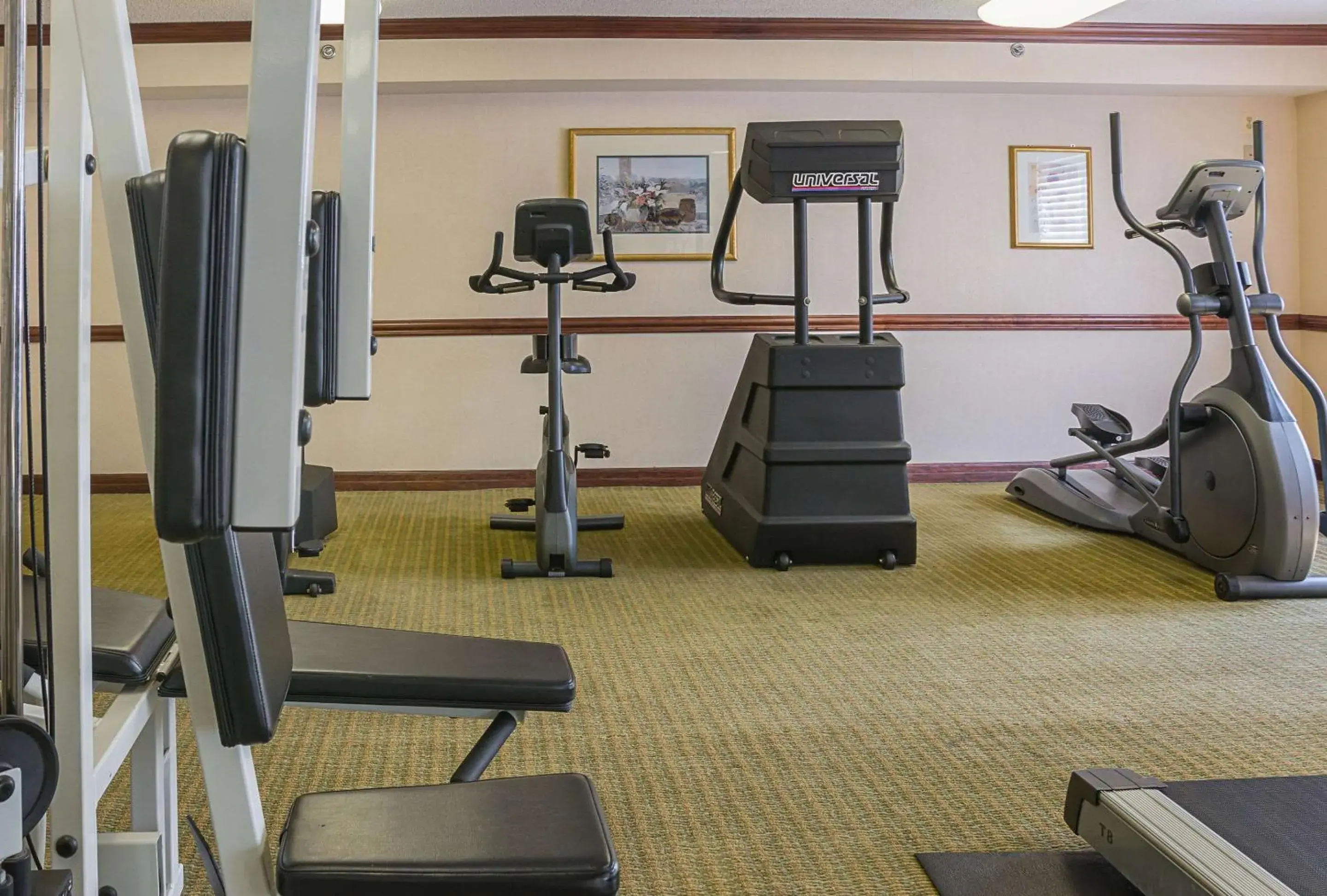 Fitness centre/facilities, Fitness Center/Facilities in Quality Inn & Suites Detroit Metro Airport