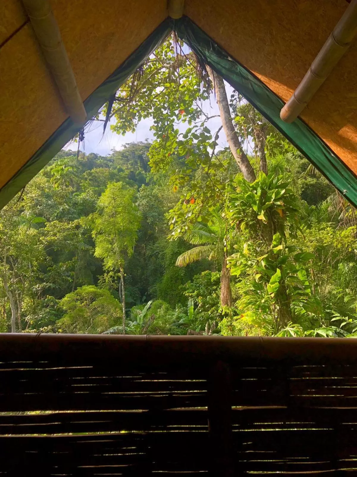 View (from property/room) in Sitio Simple Life