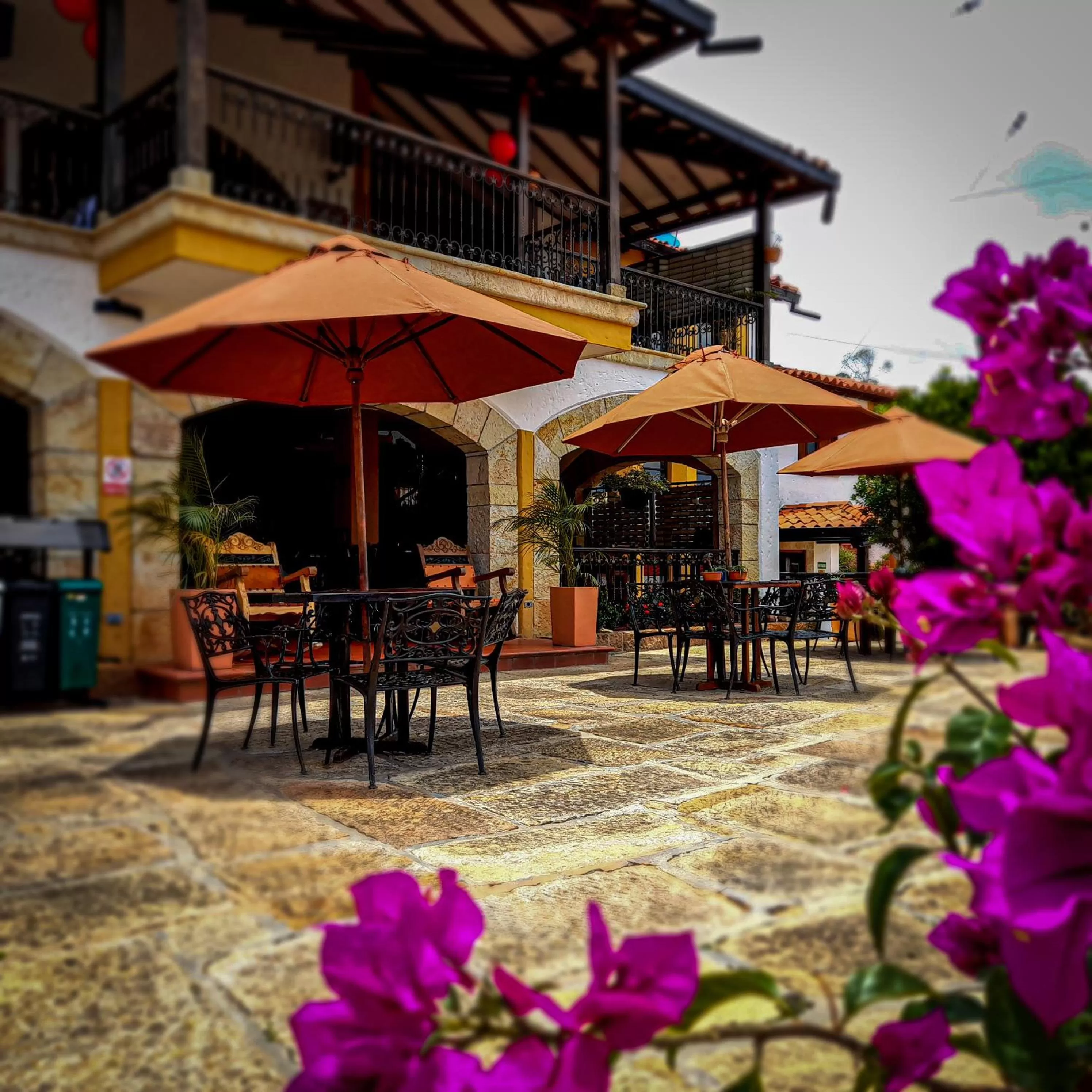 Restaurant/places to eat in Hotel Las Rocas Resort Villanueva