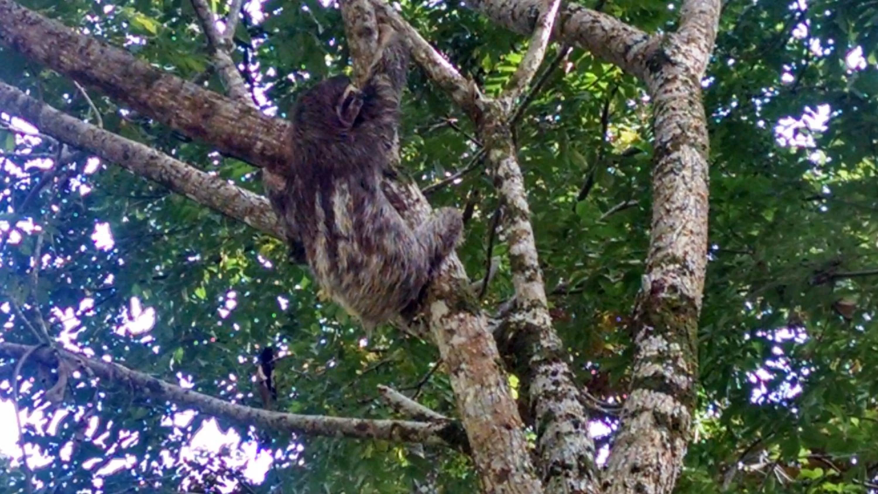 Day in Surf Break at Paunch