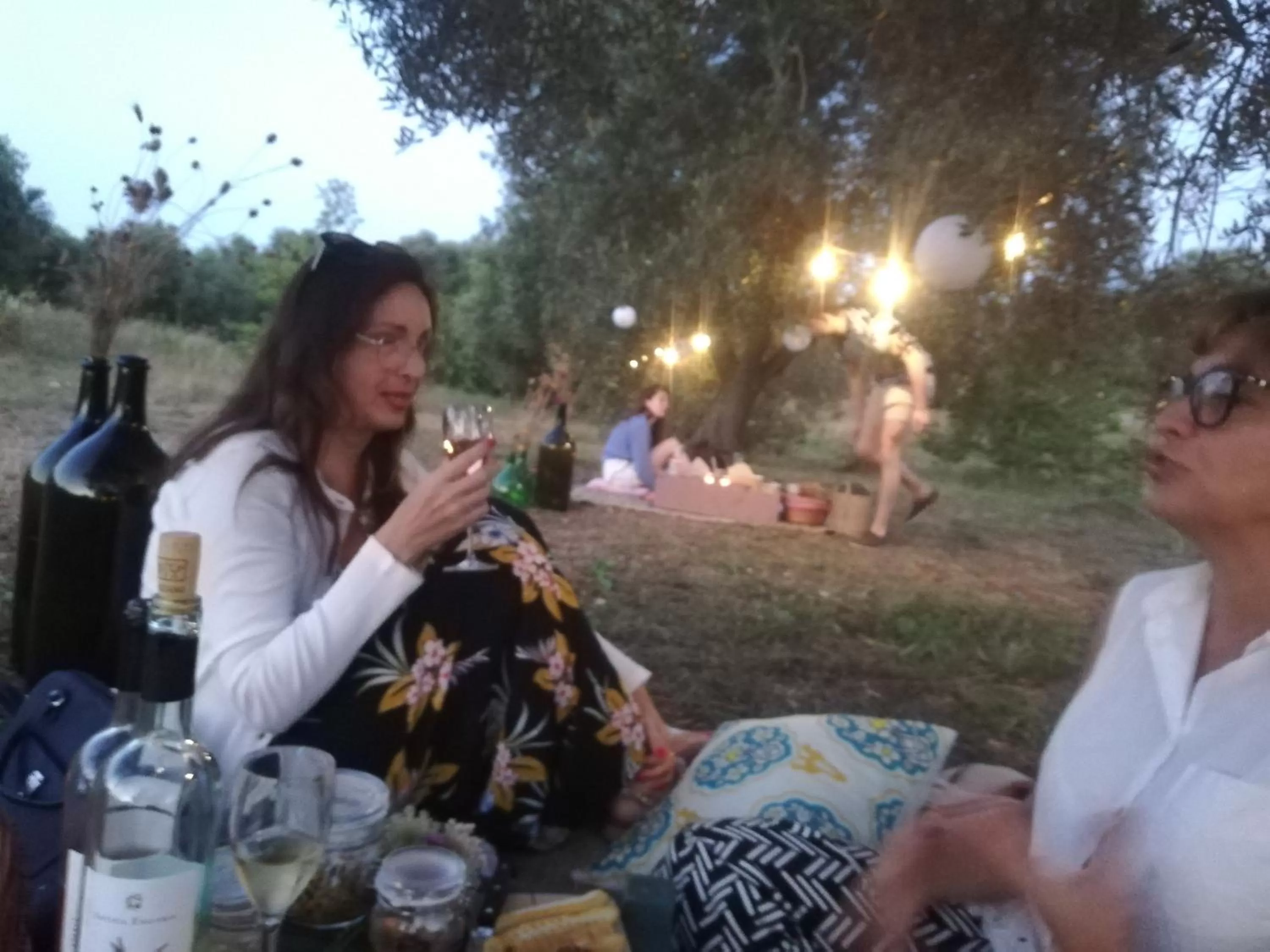 Garden in B&B Giovannarolla Green House