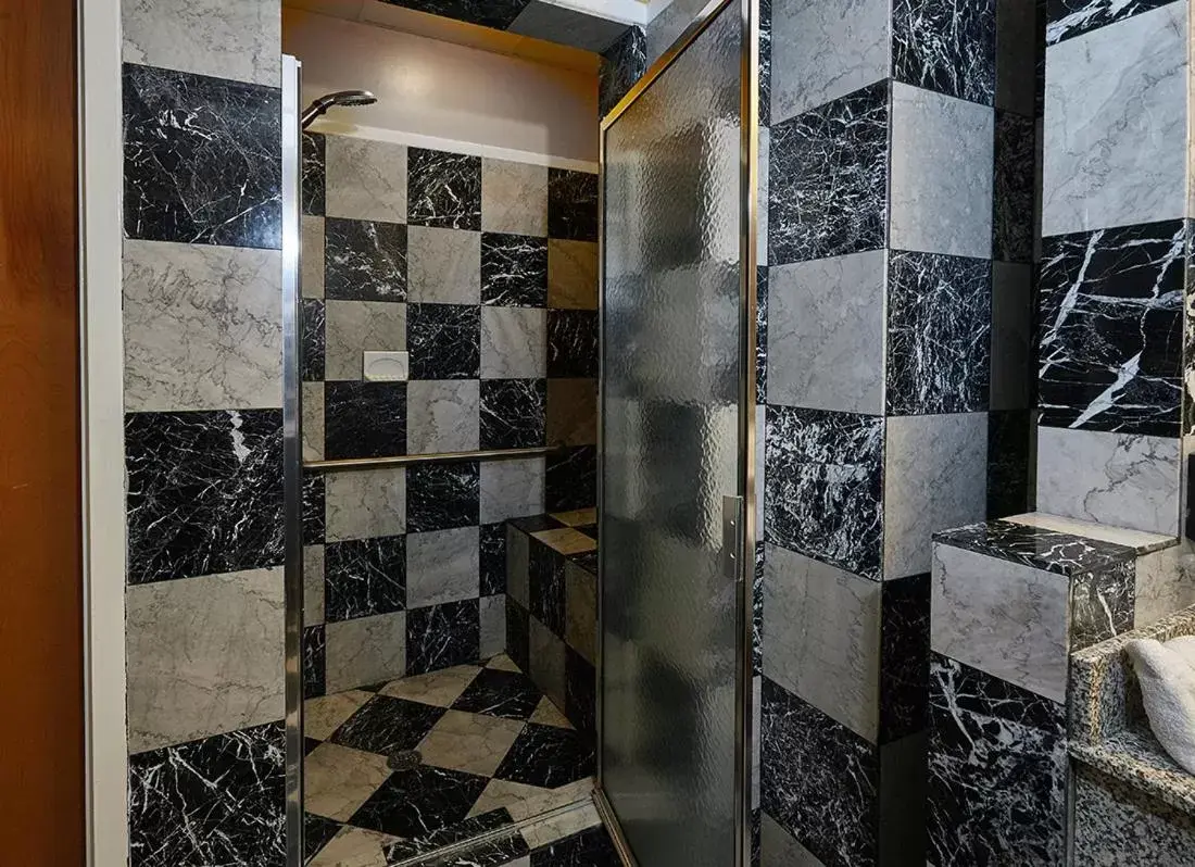 Shower, Bathroom in Ocean Inn & Suites