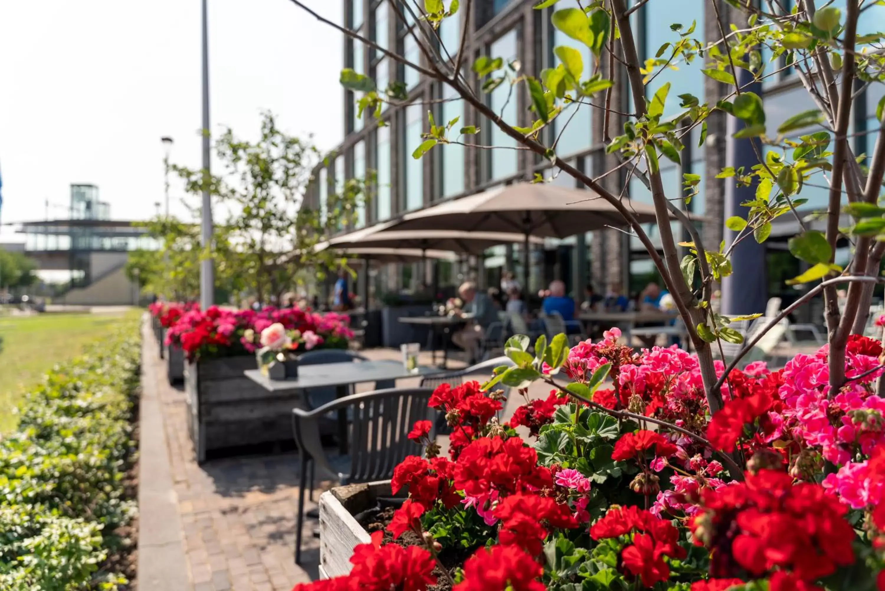 Spring in Van der Valk Hotel Nijmegen-Lent