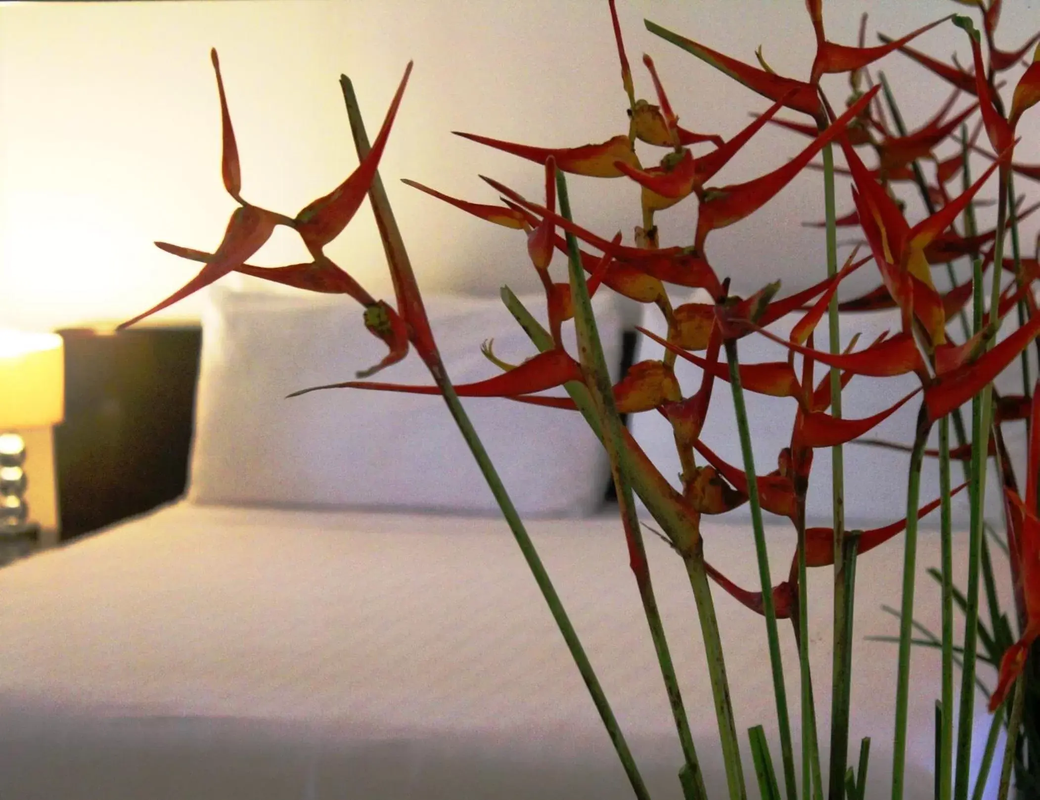 Photo of the whole room, Bed in Albrook Inn Photo of the whole room, Bed in Albrook Inn