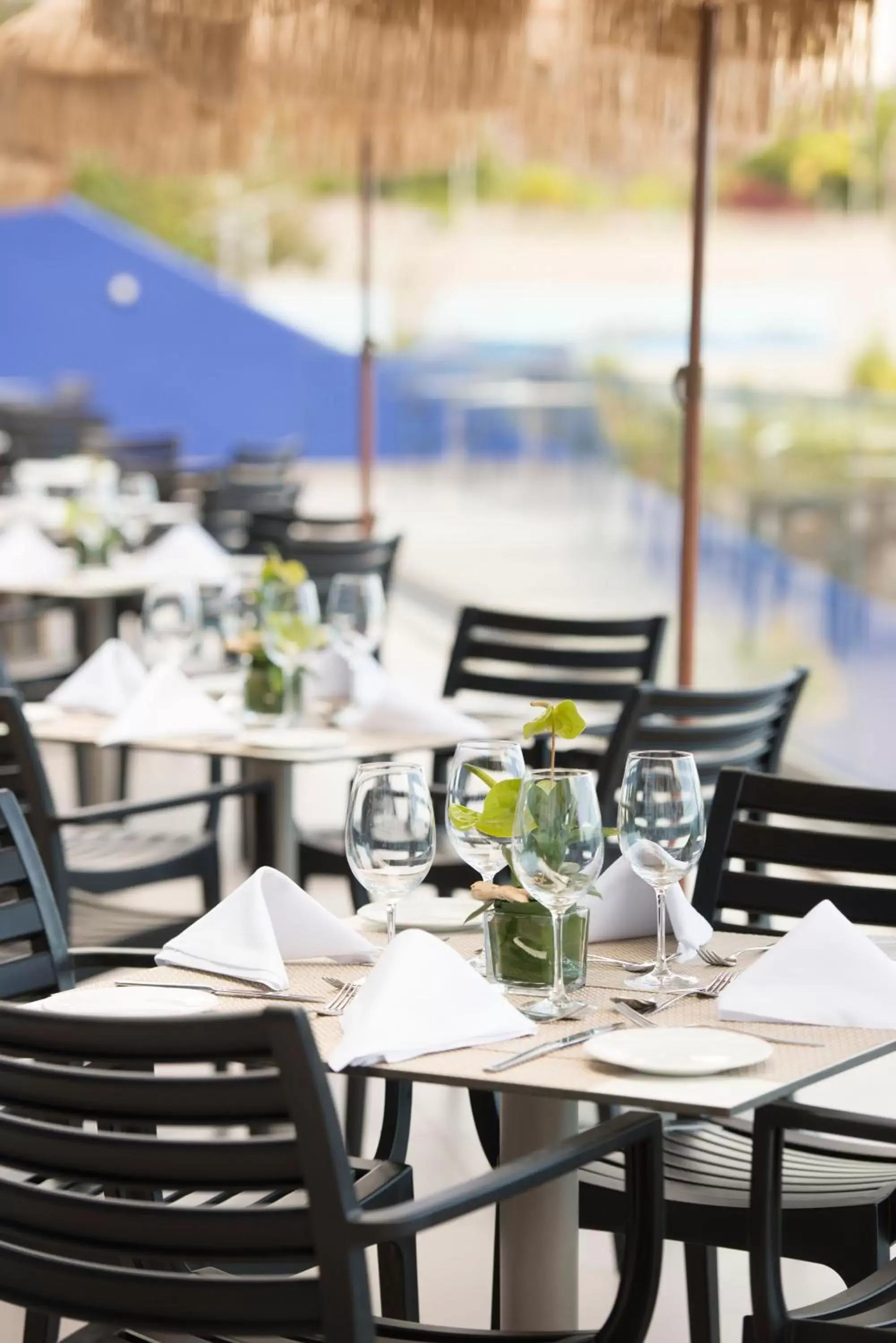 Food and drinks in Hotel Baia Azul Food and drinks in Hotel Baia Azul