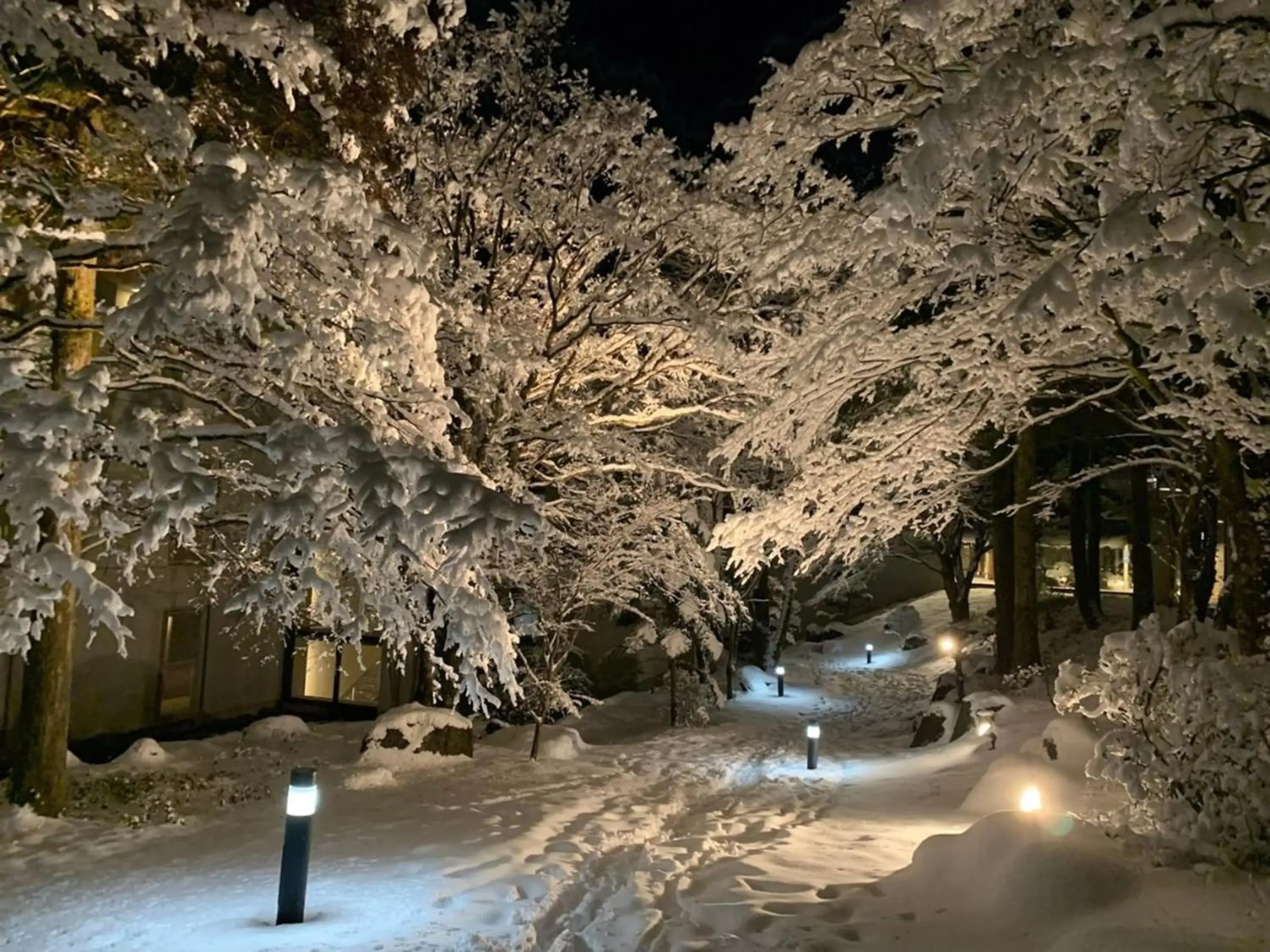 Winter in Hakone Yunohana Prince Hotel